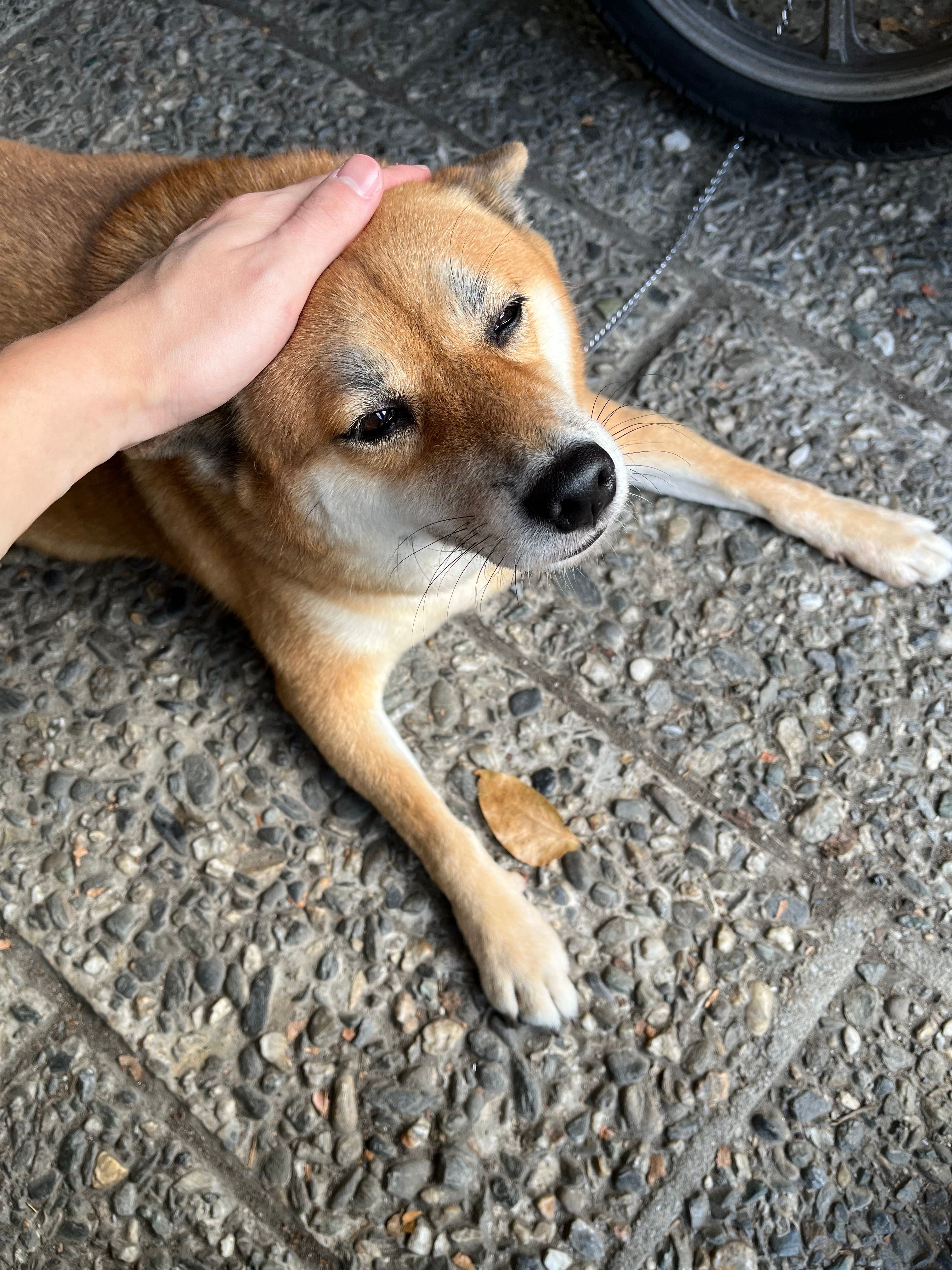 image-5