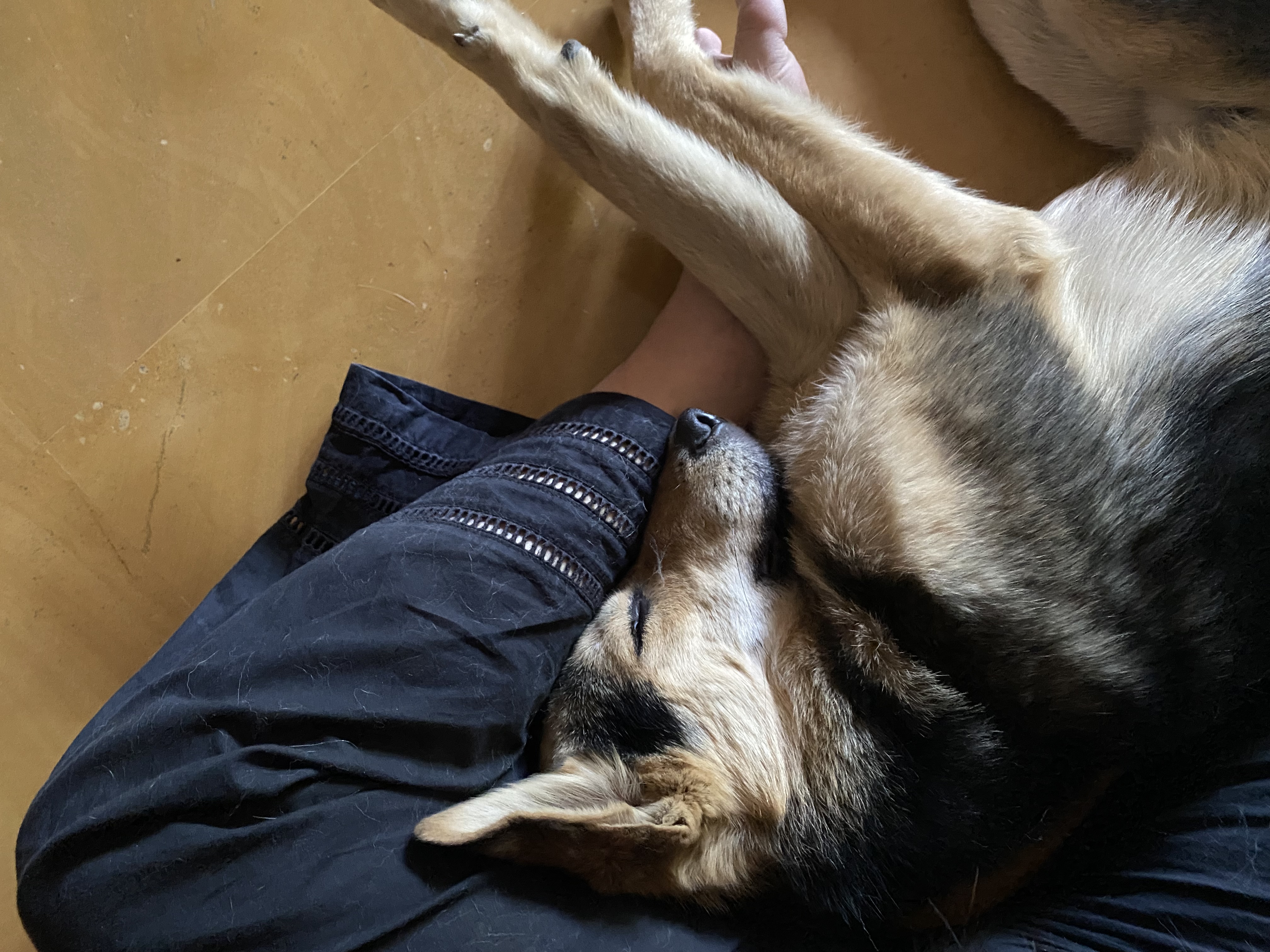 image-8