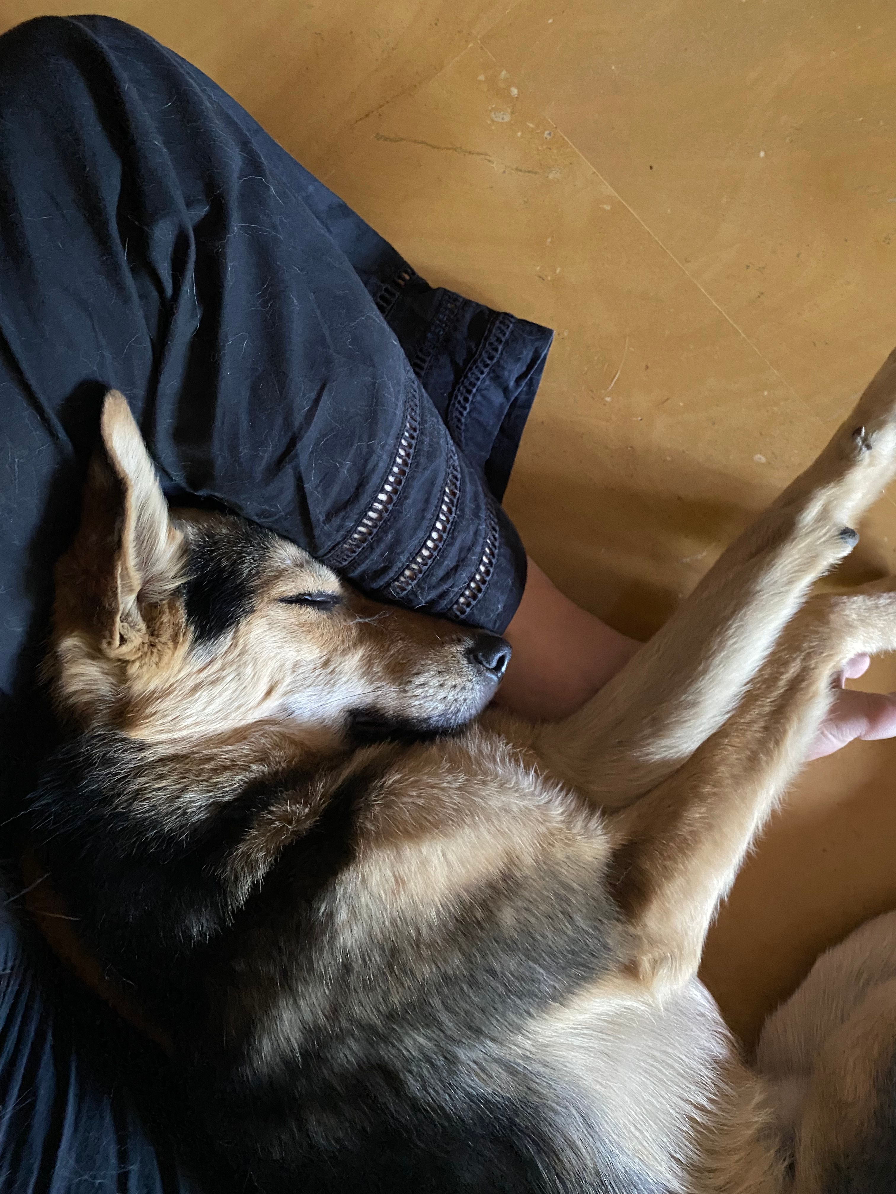 image-8
