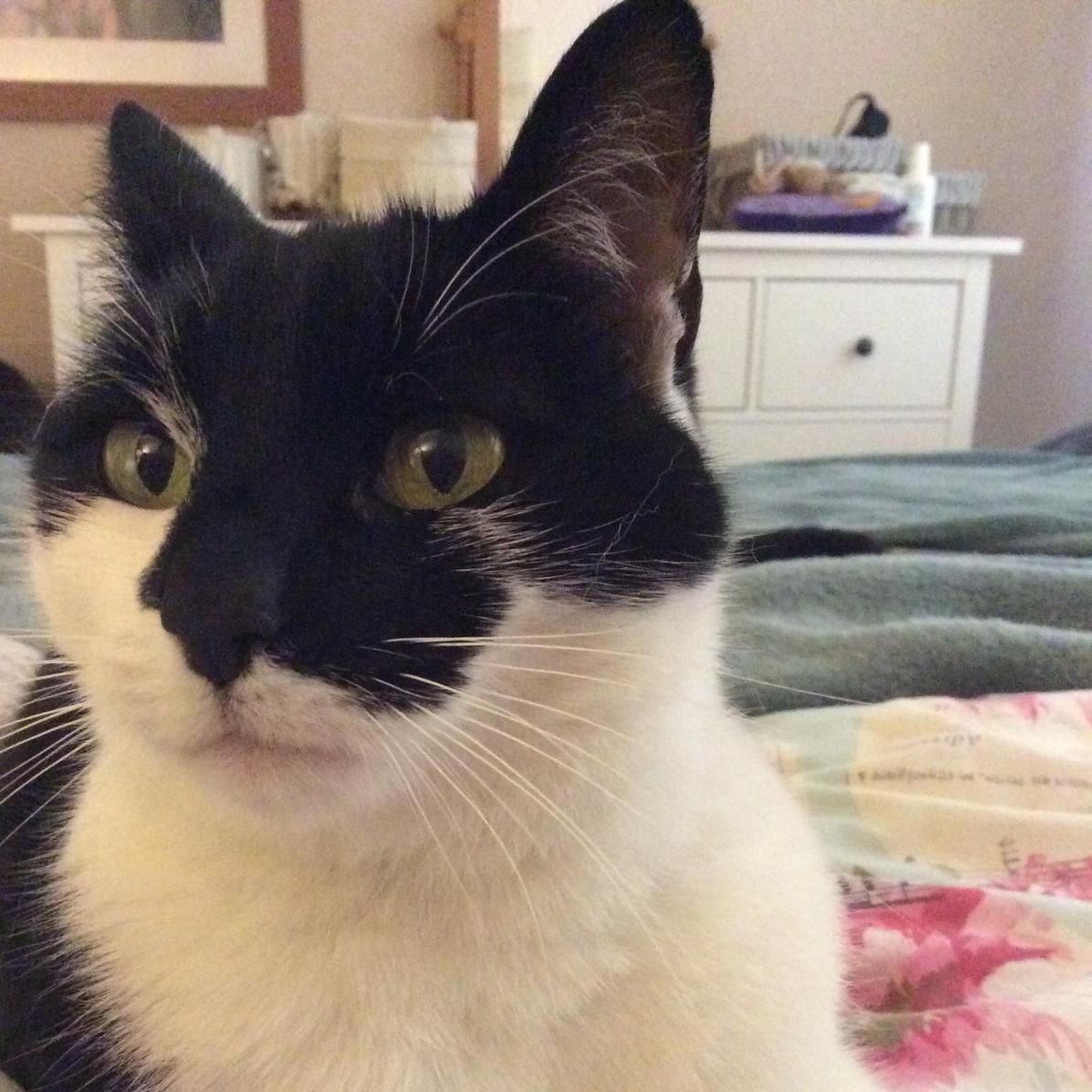 Tilly