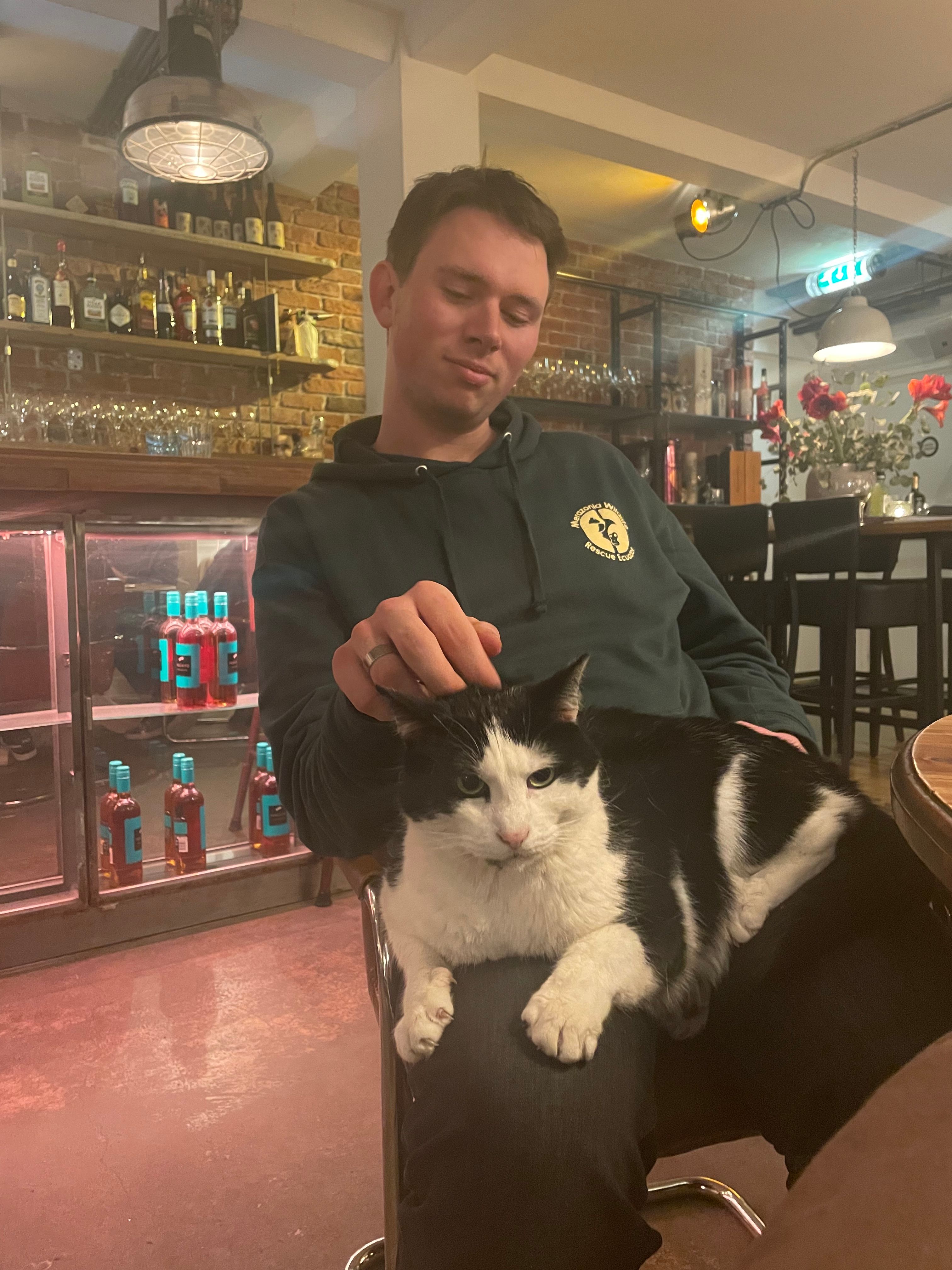 image-6