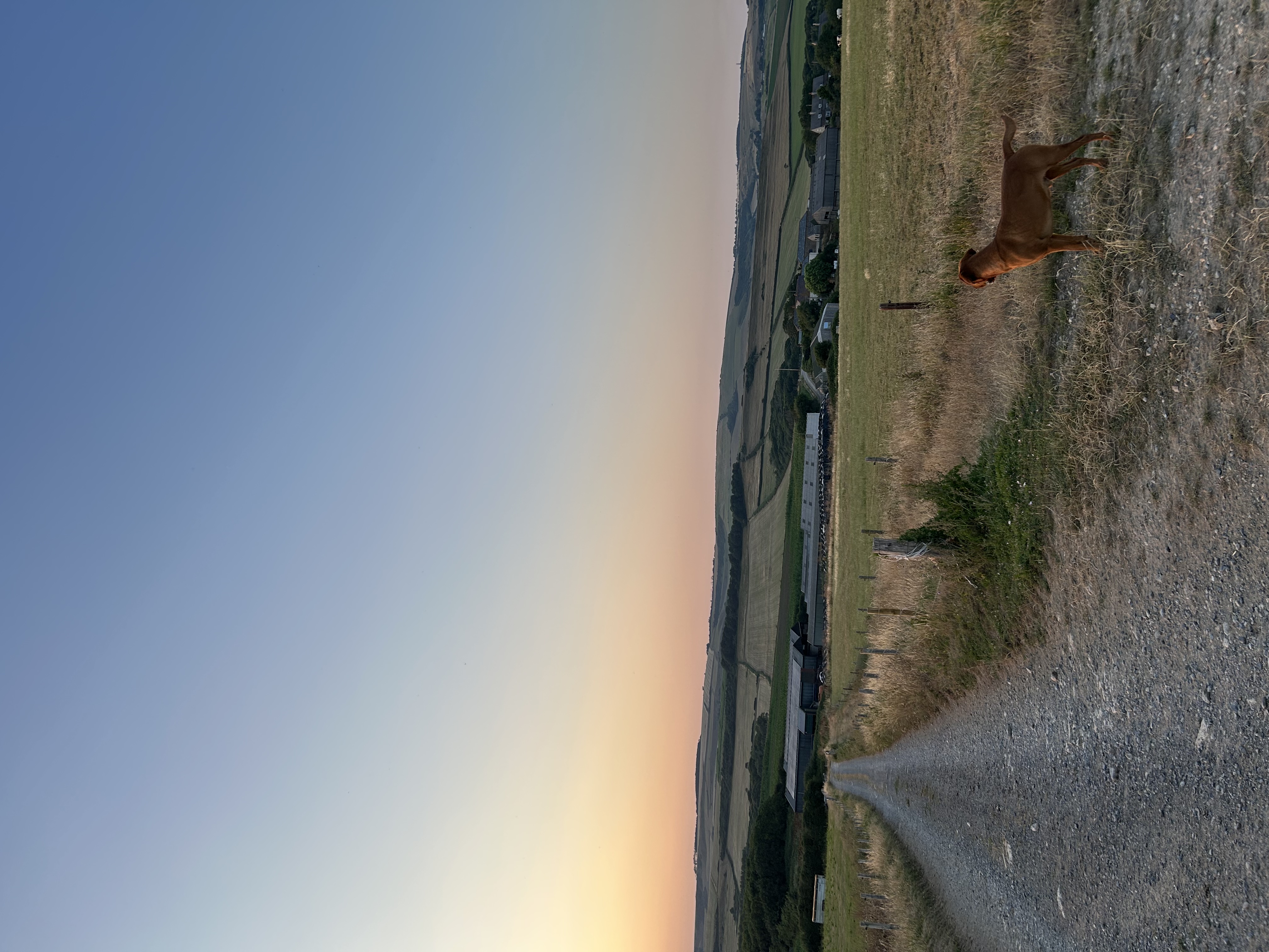 image-16