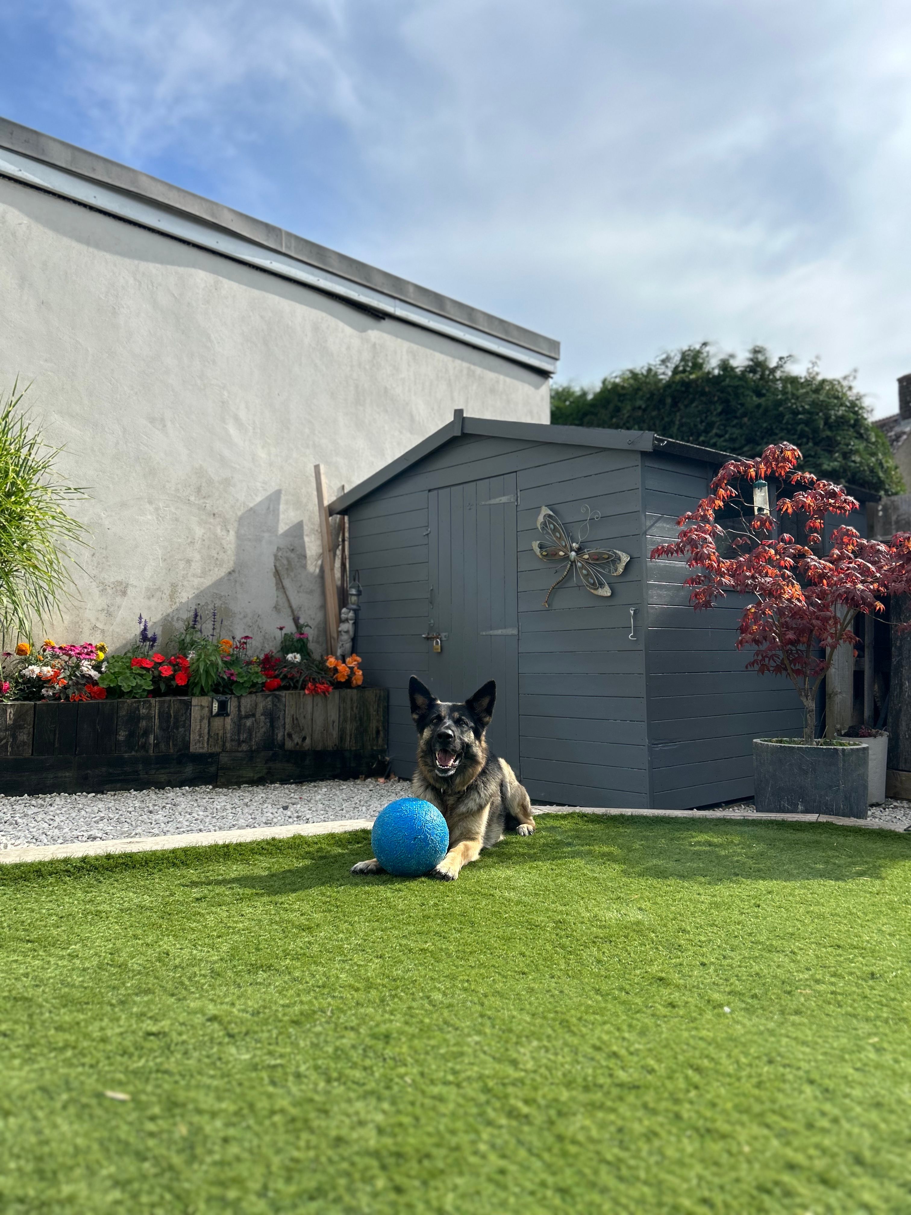 image-15