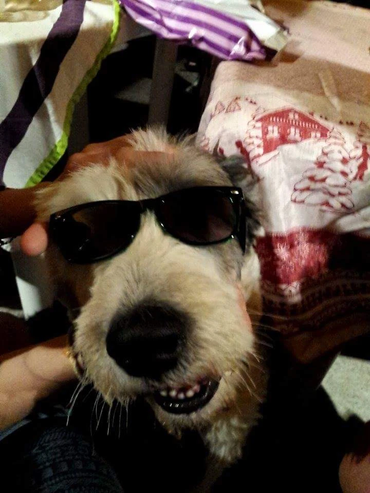 image-7
