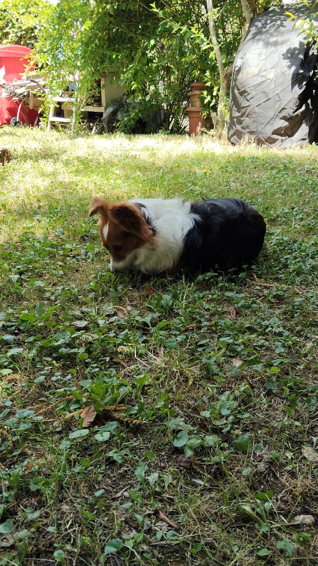 image-8