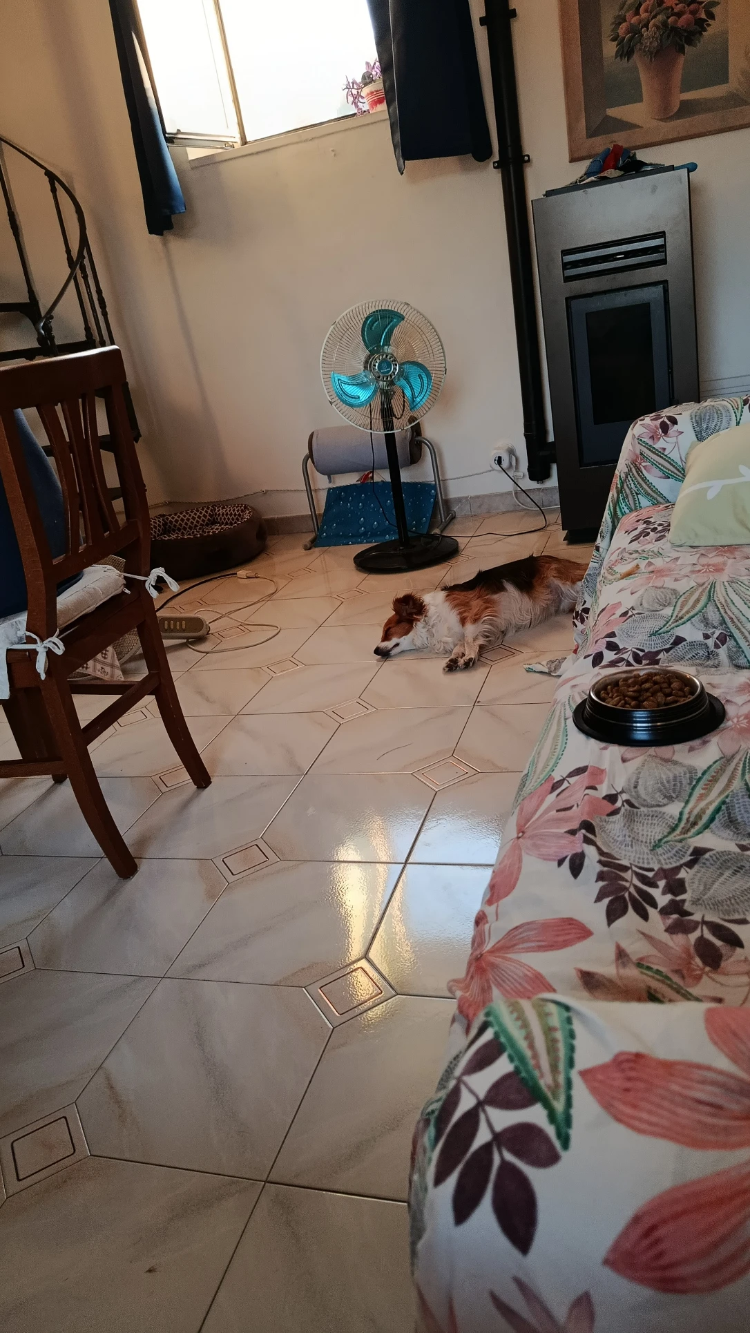image-19