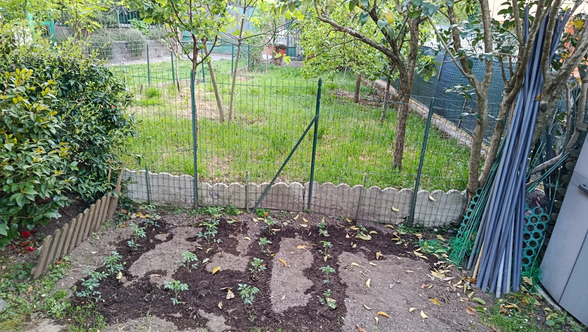 image-28
