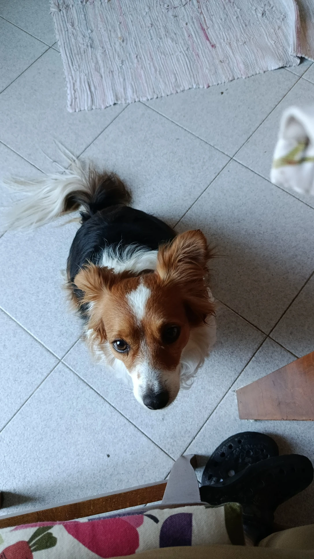 image-6