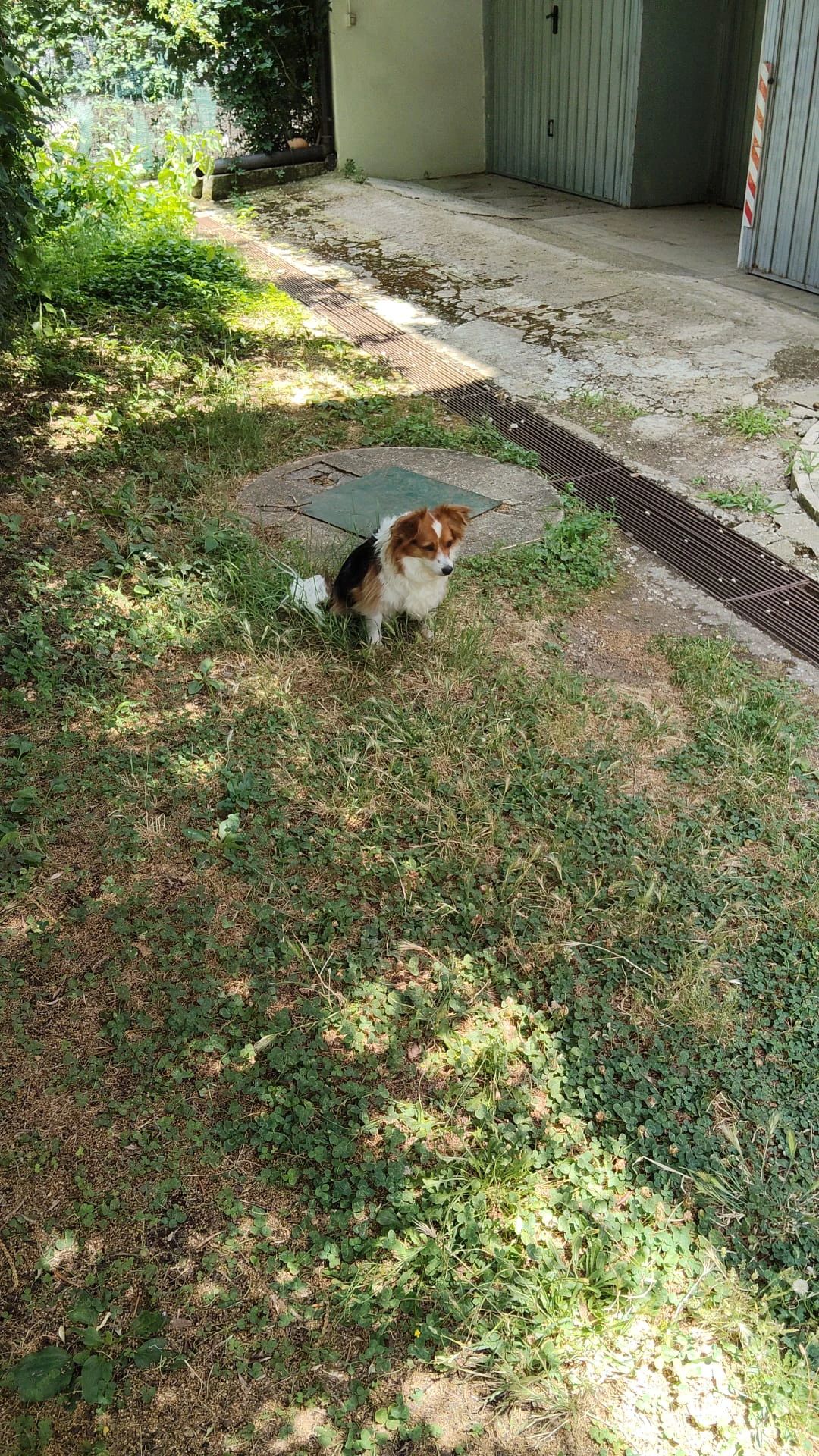 image-23
