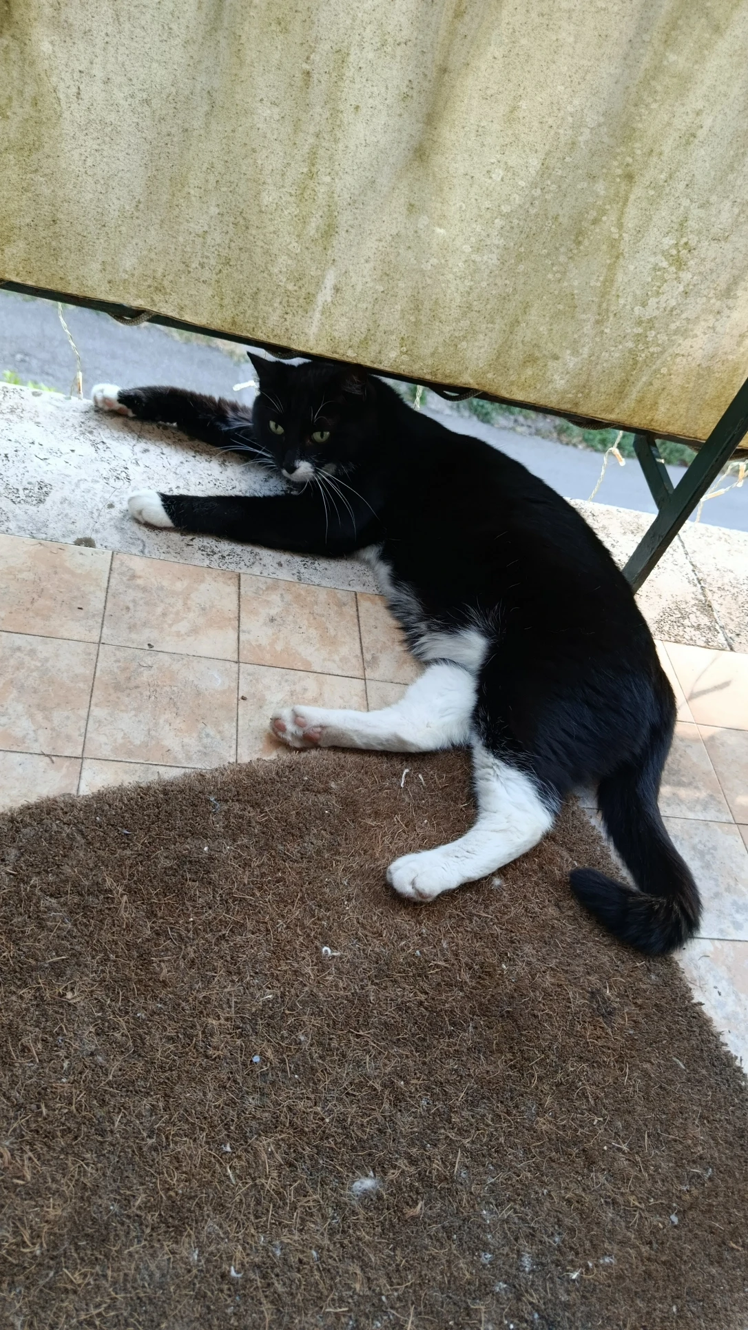 image-11