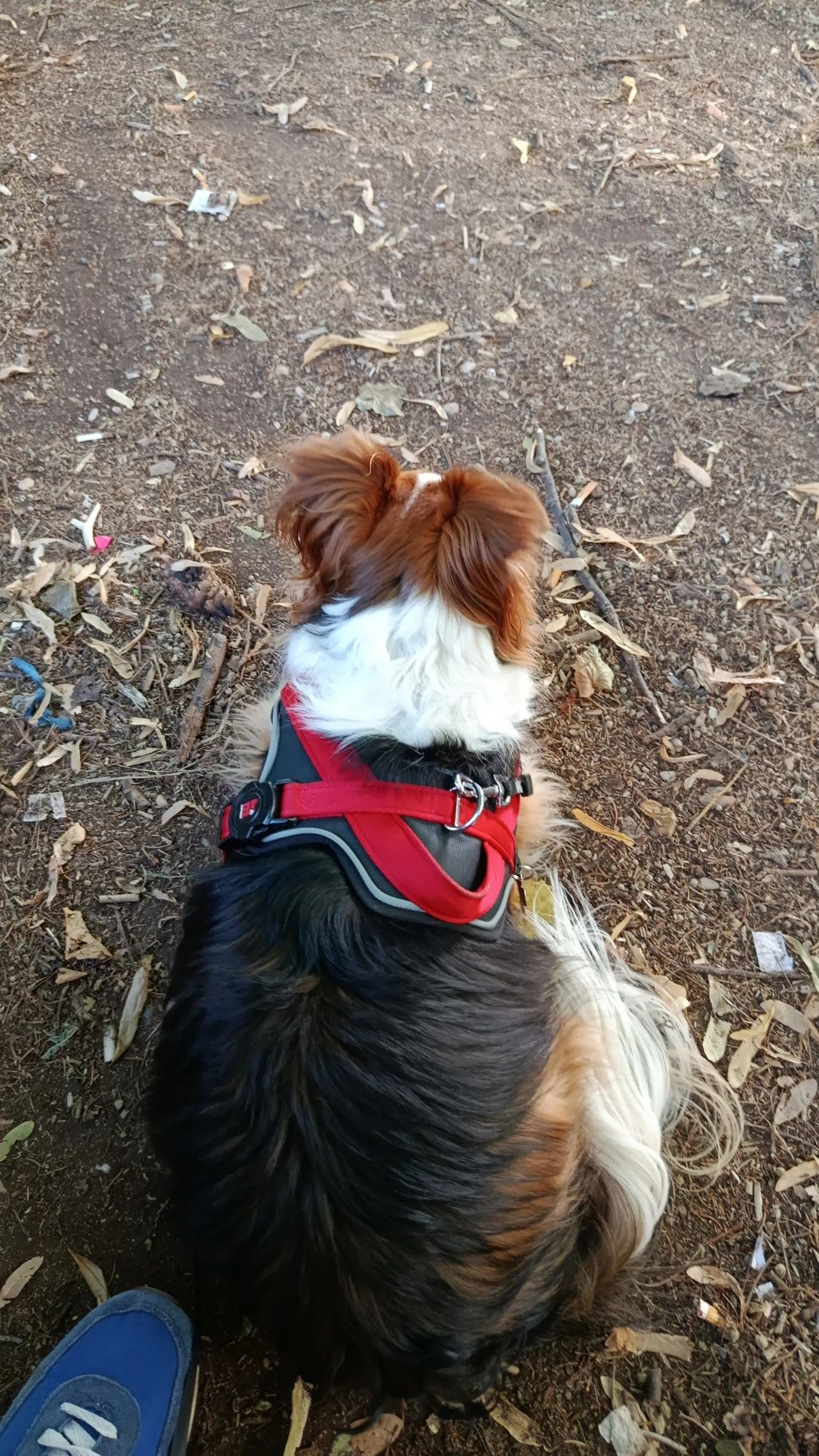 image-5