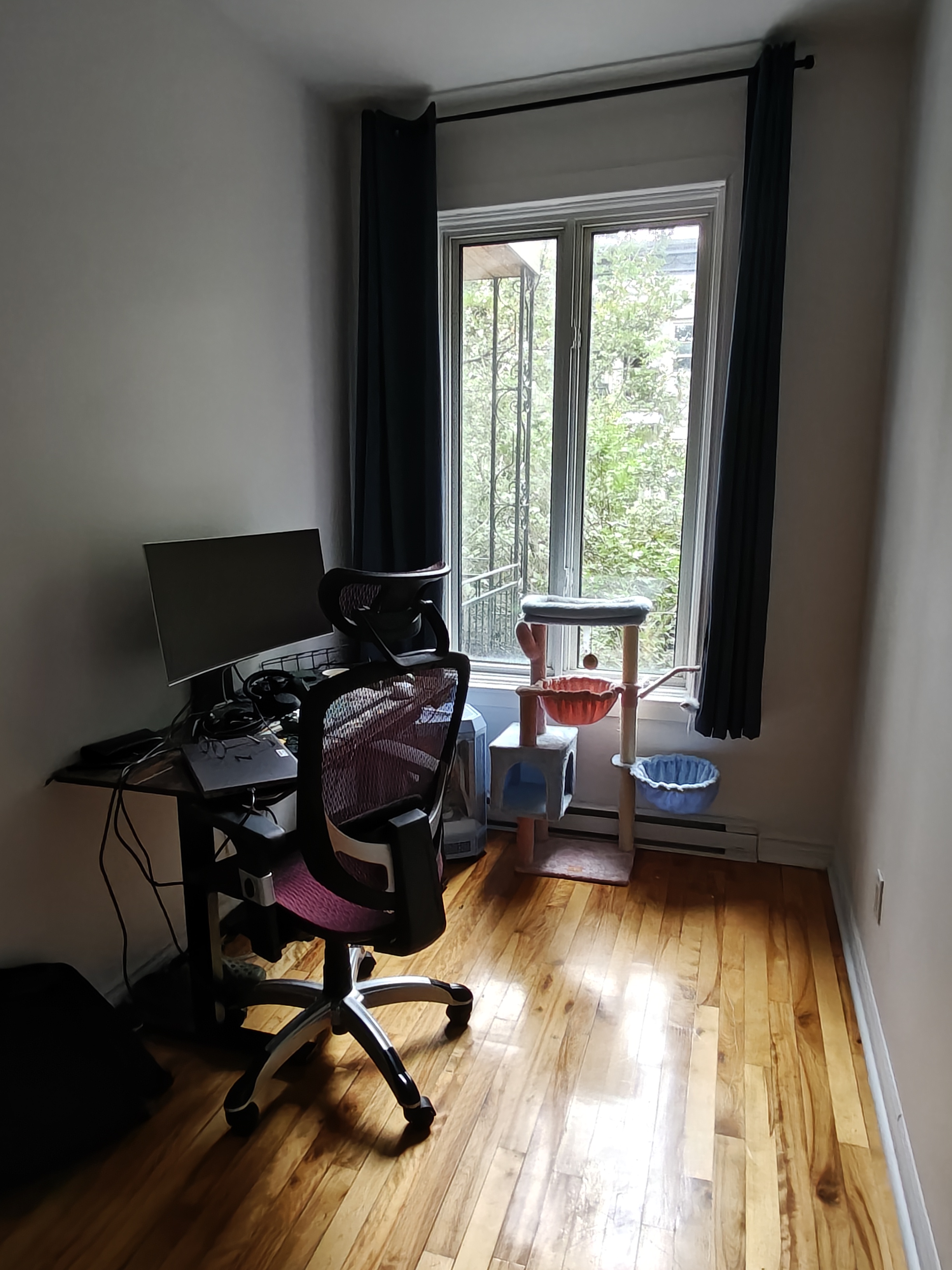 image-20
