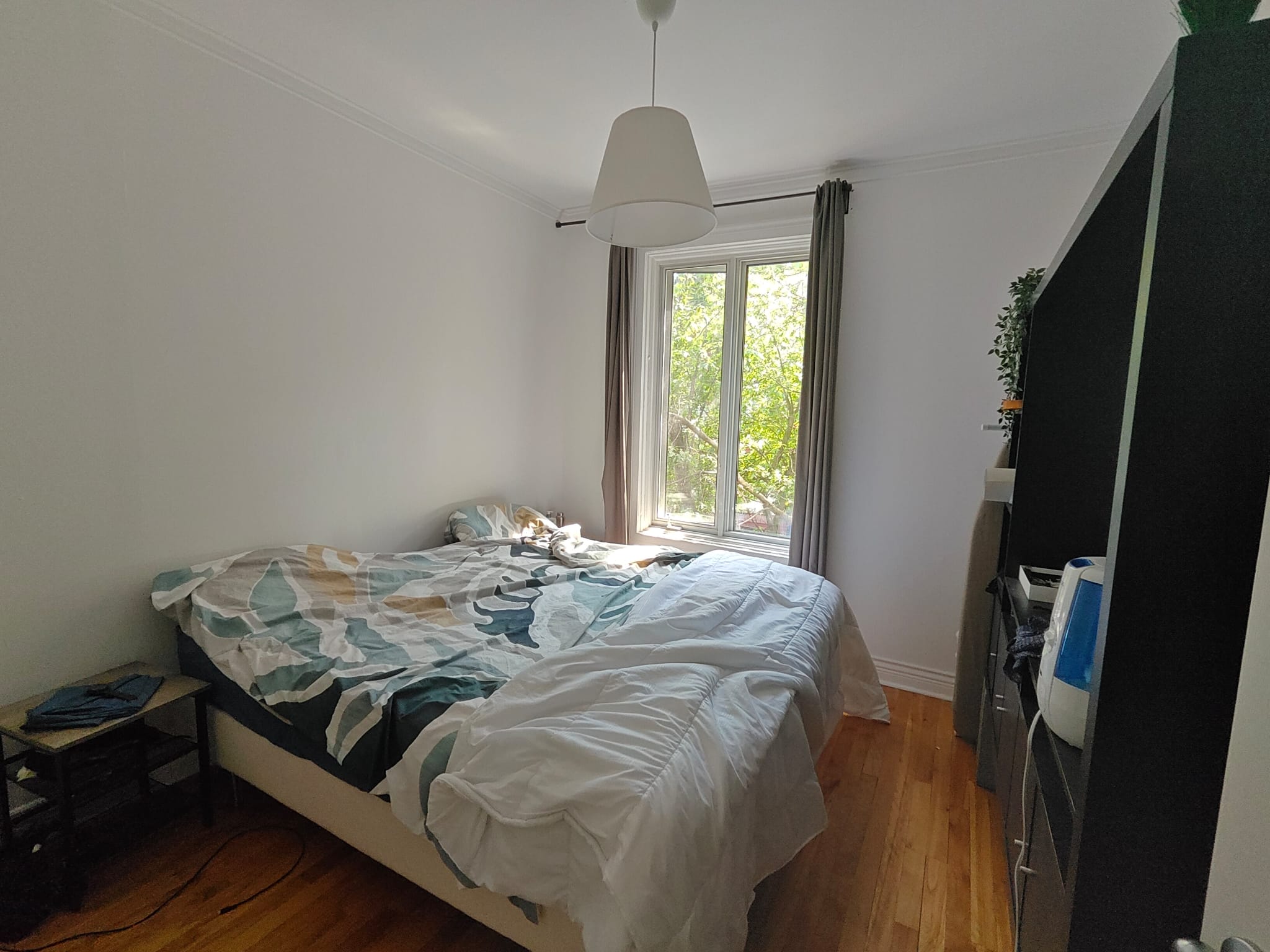 image-19