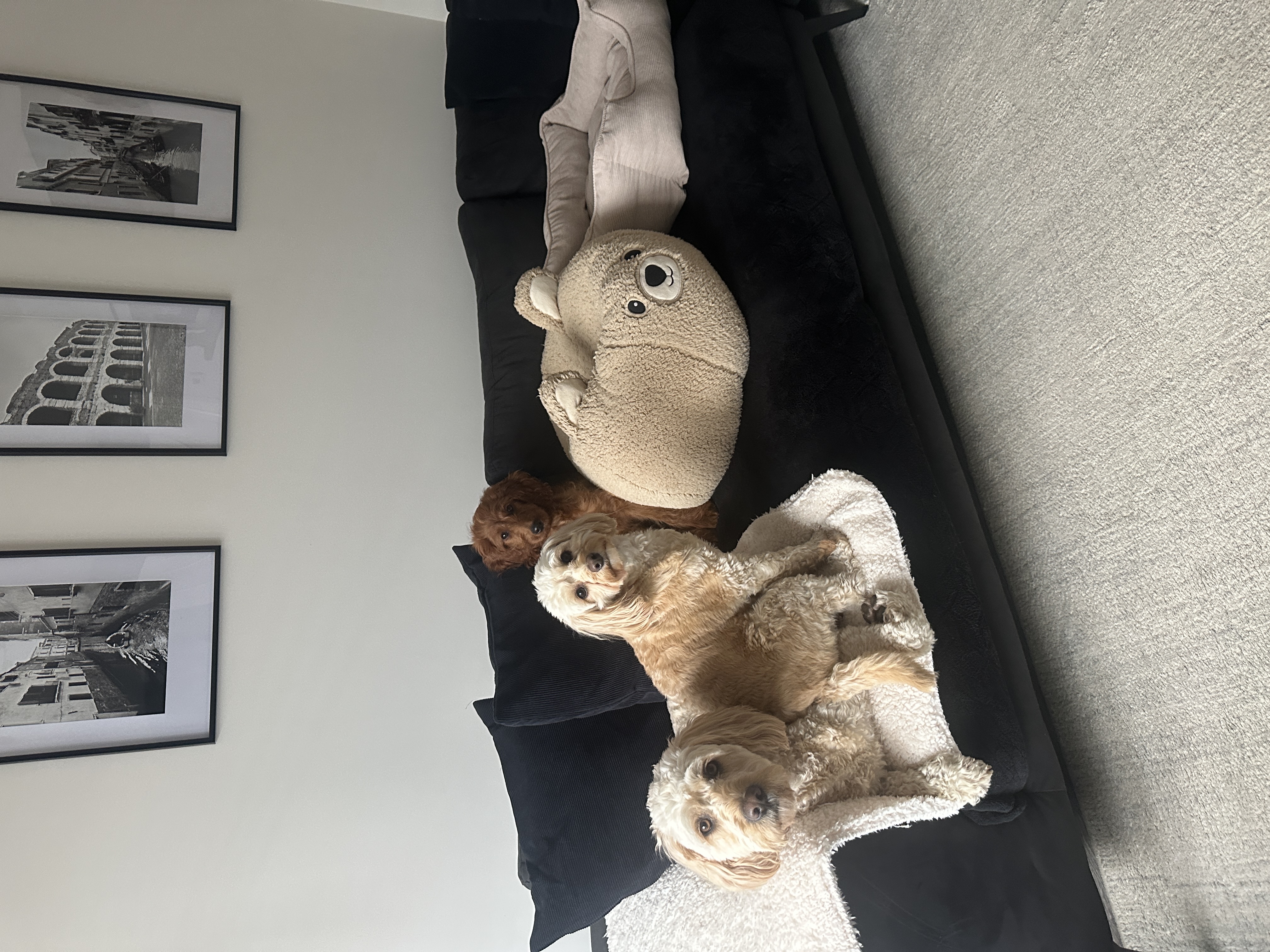 image-9