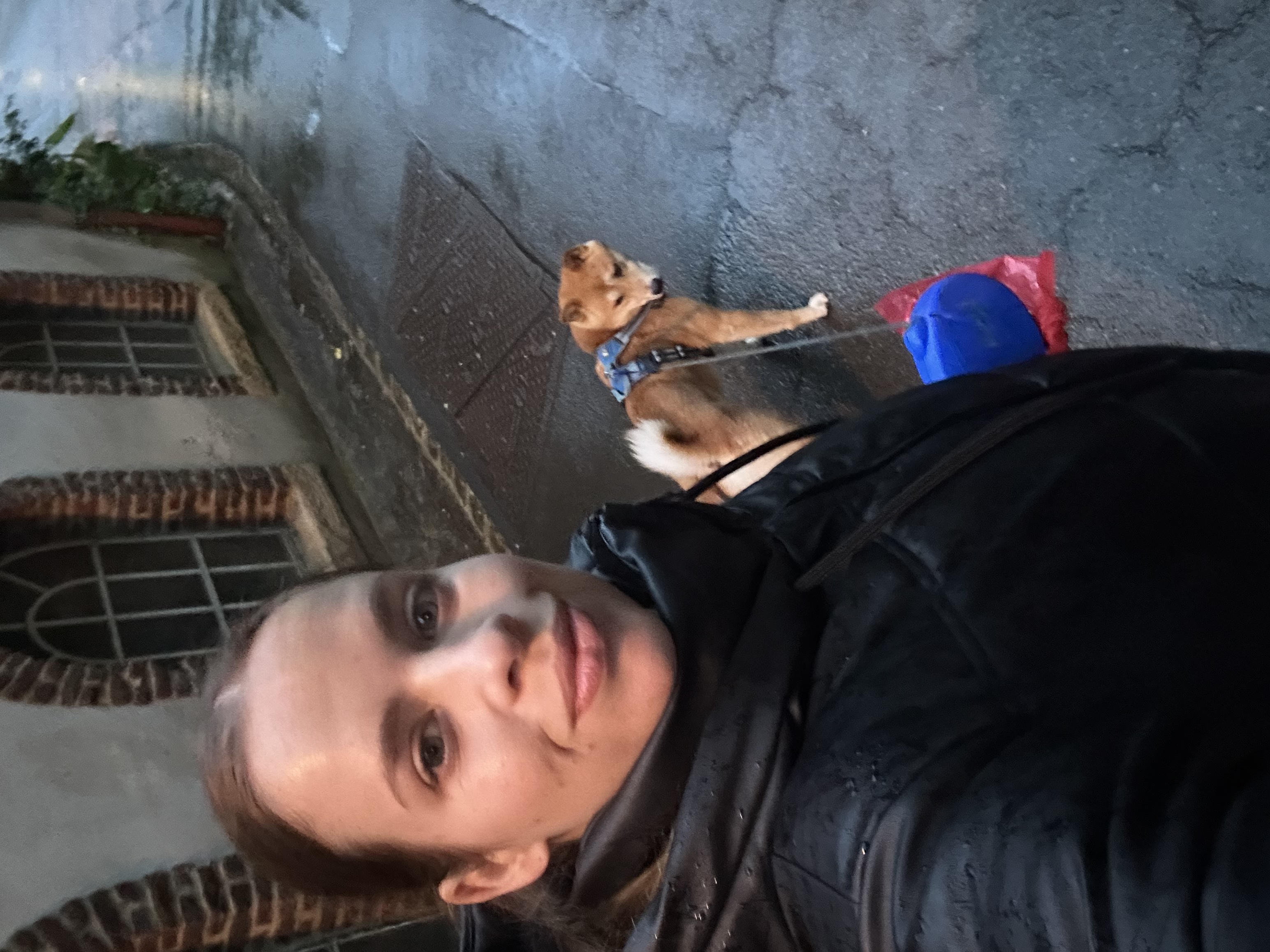 image-14