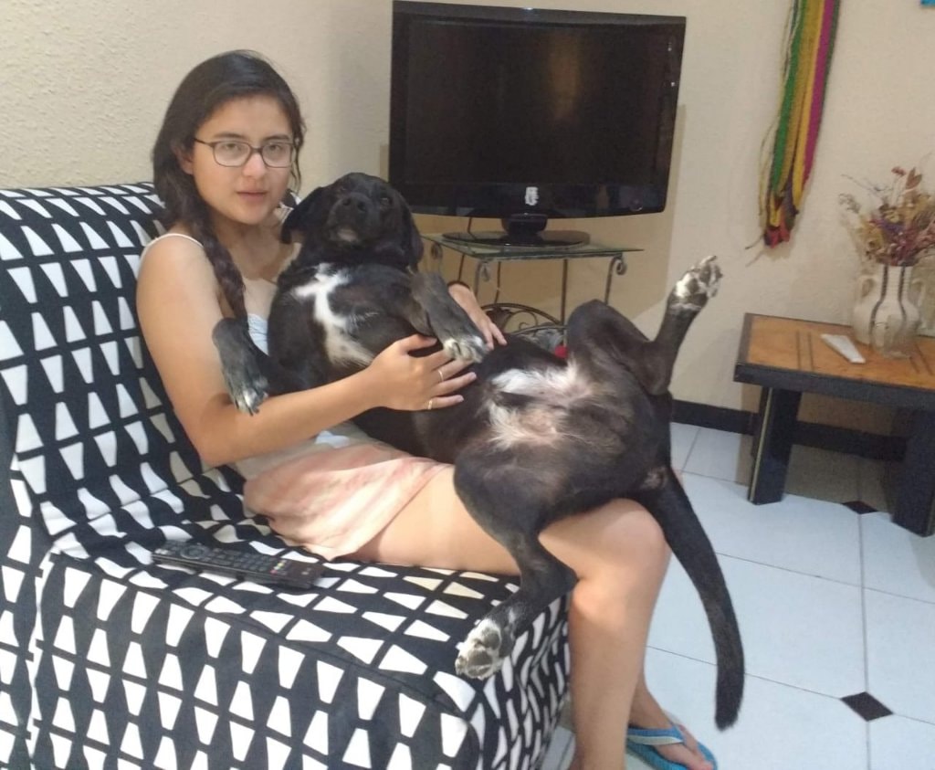 image-10