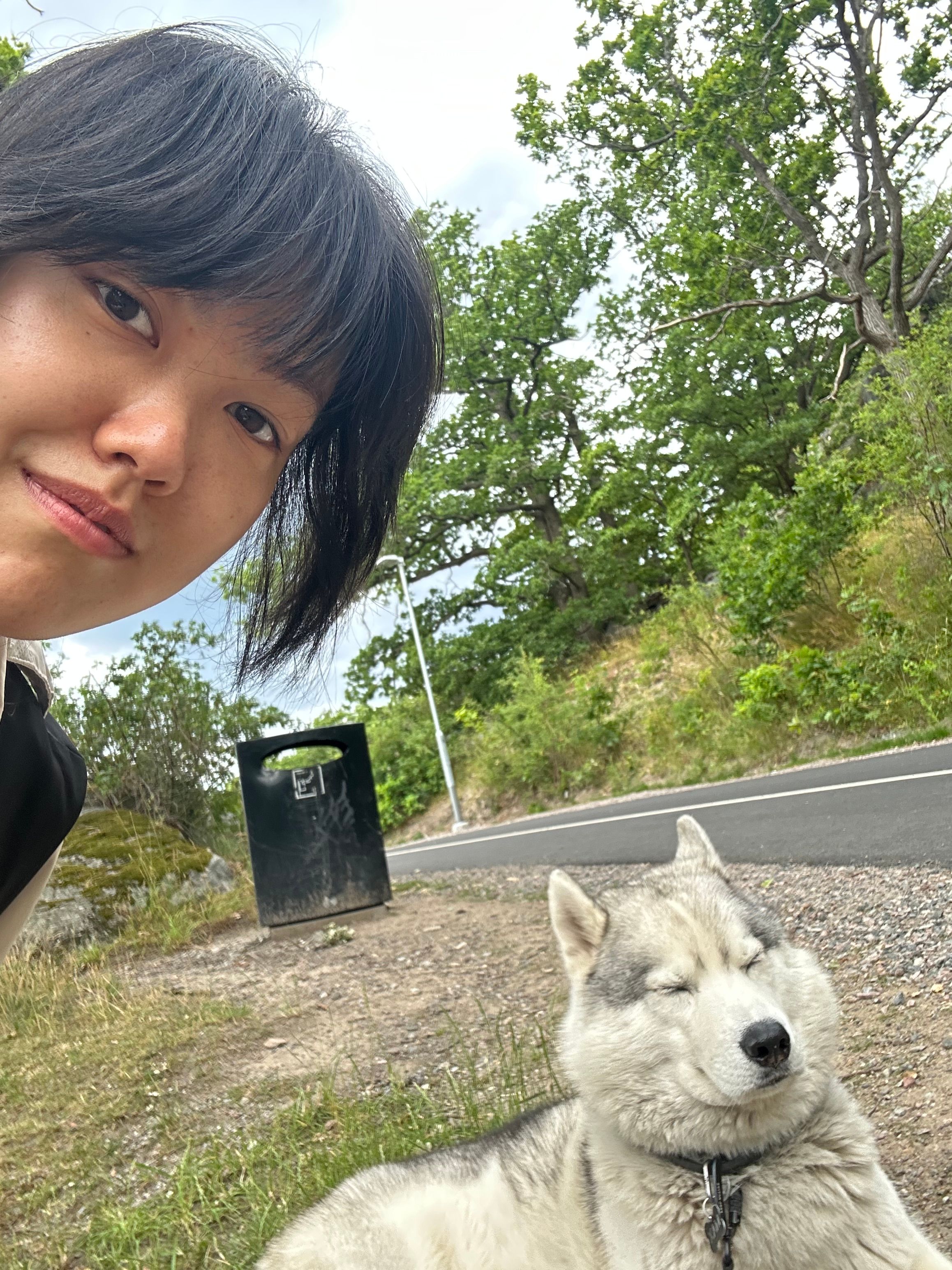 image-6