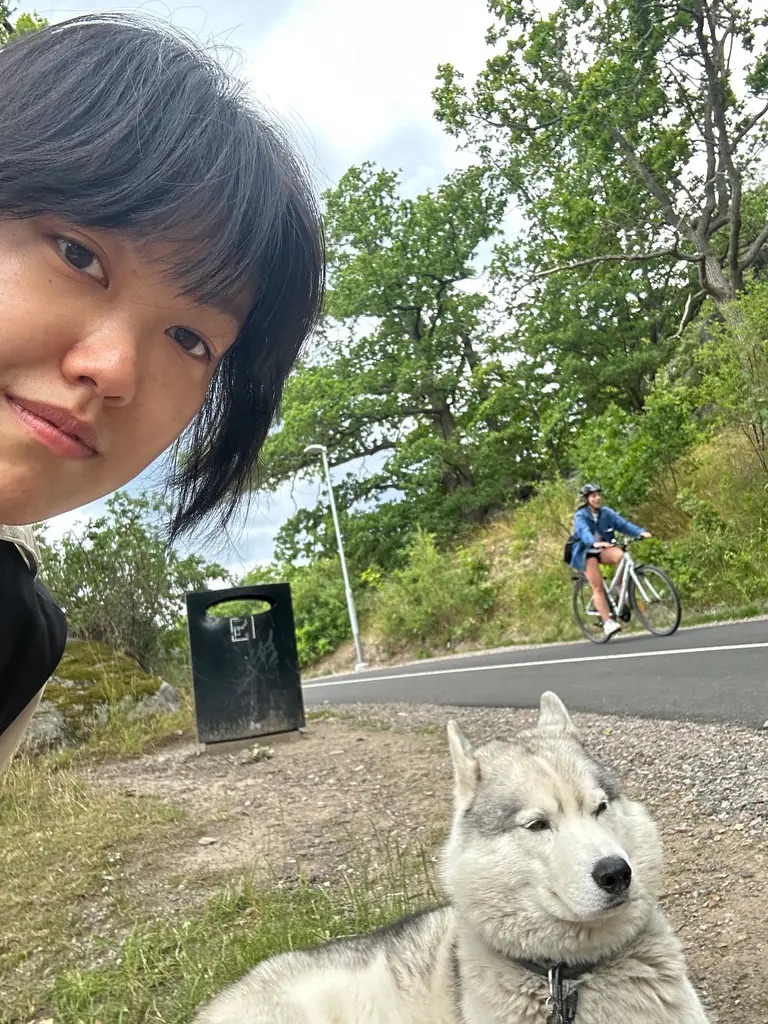 image-7