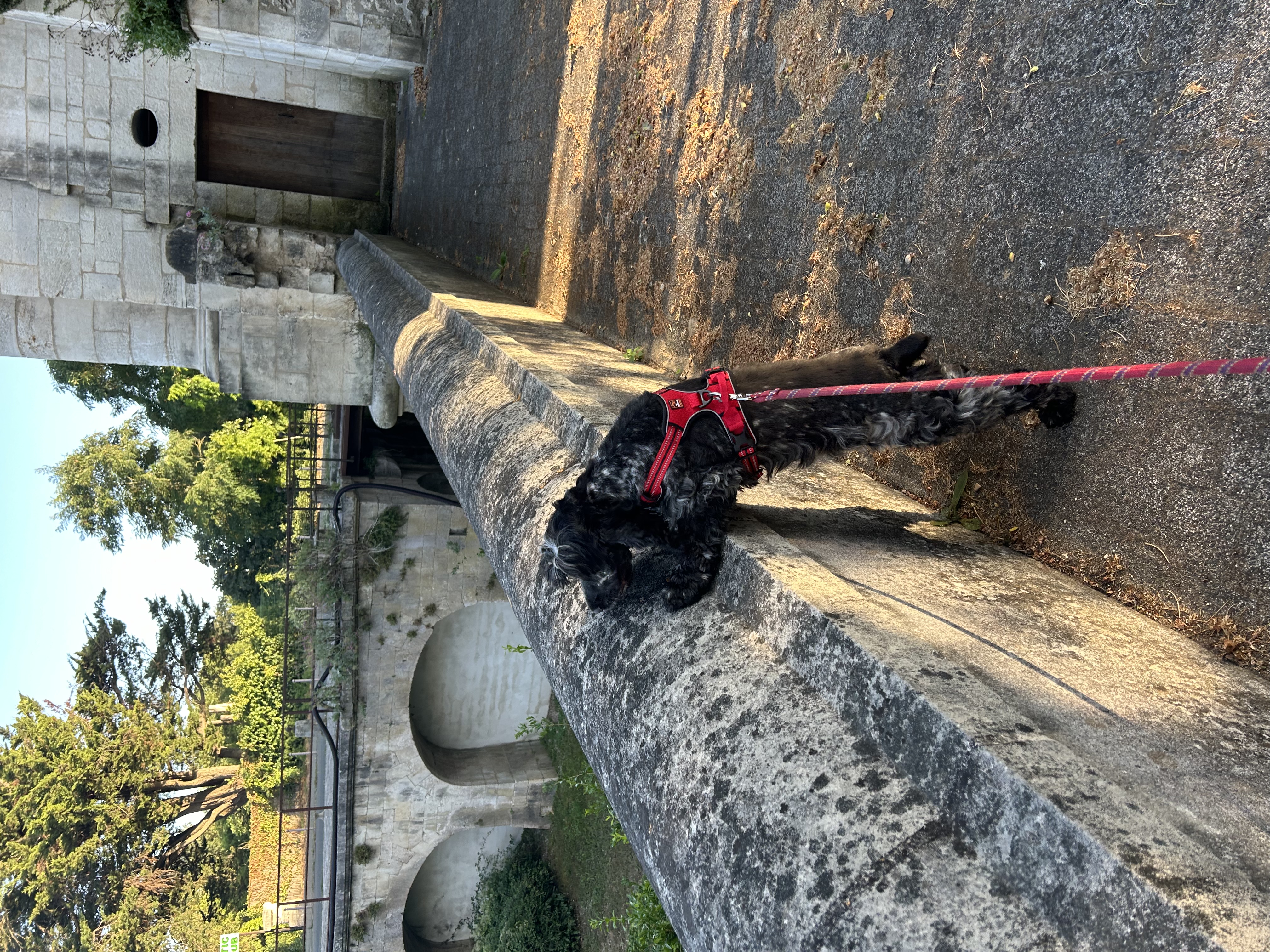 image-8