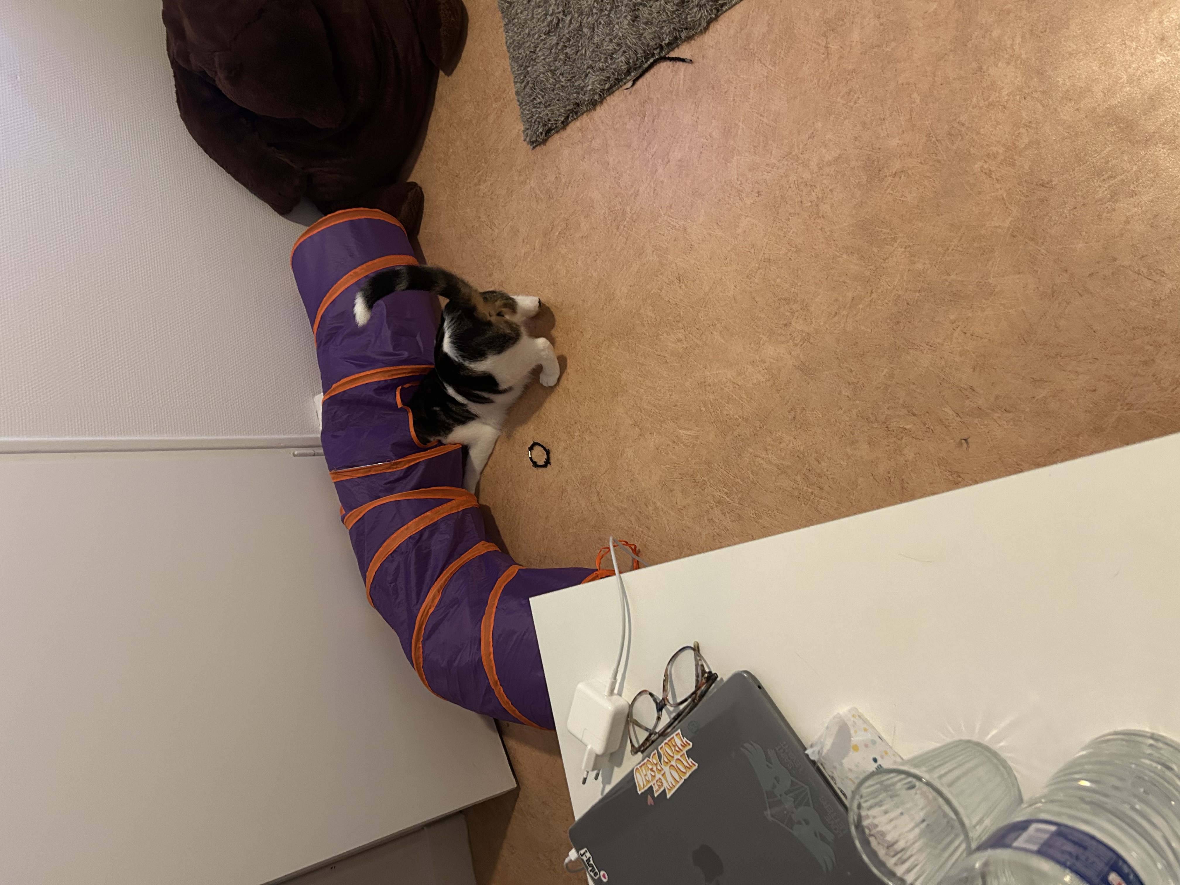 image-20