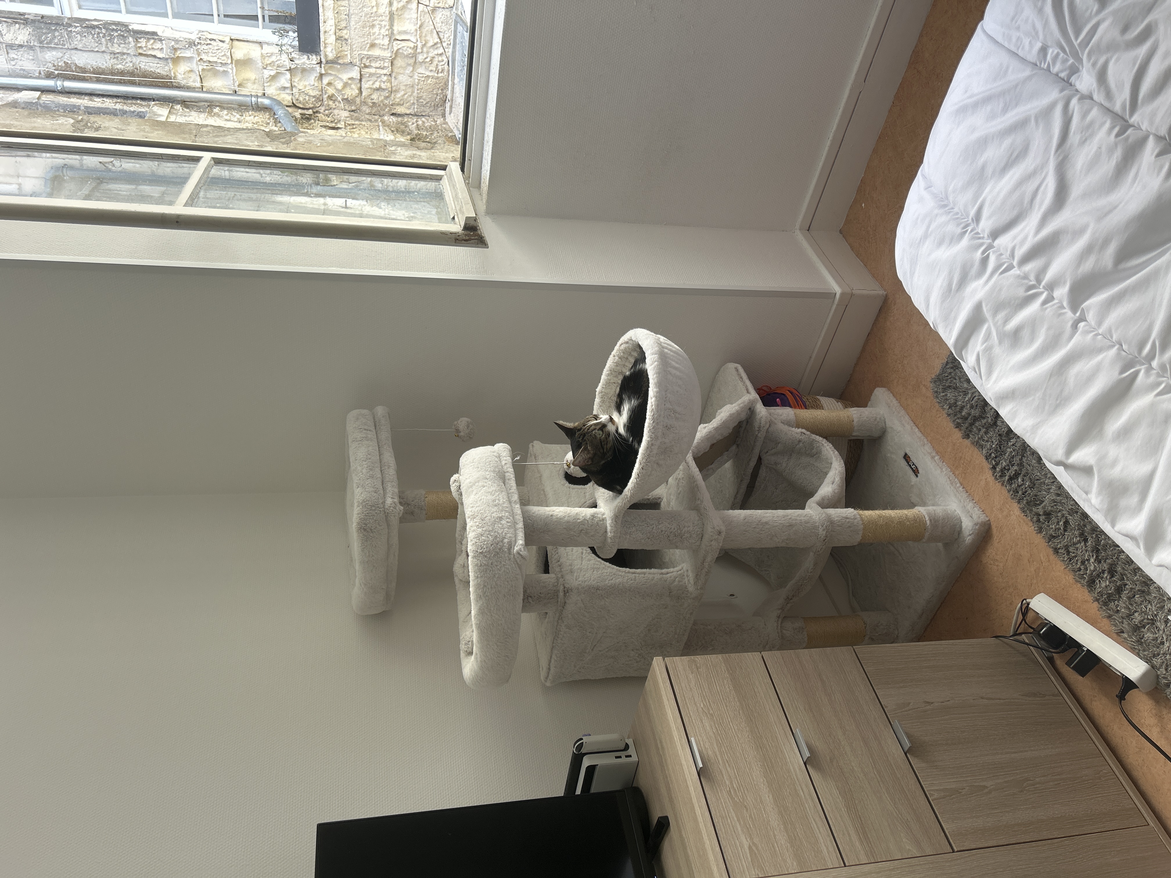image-15