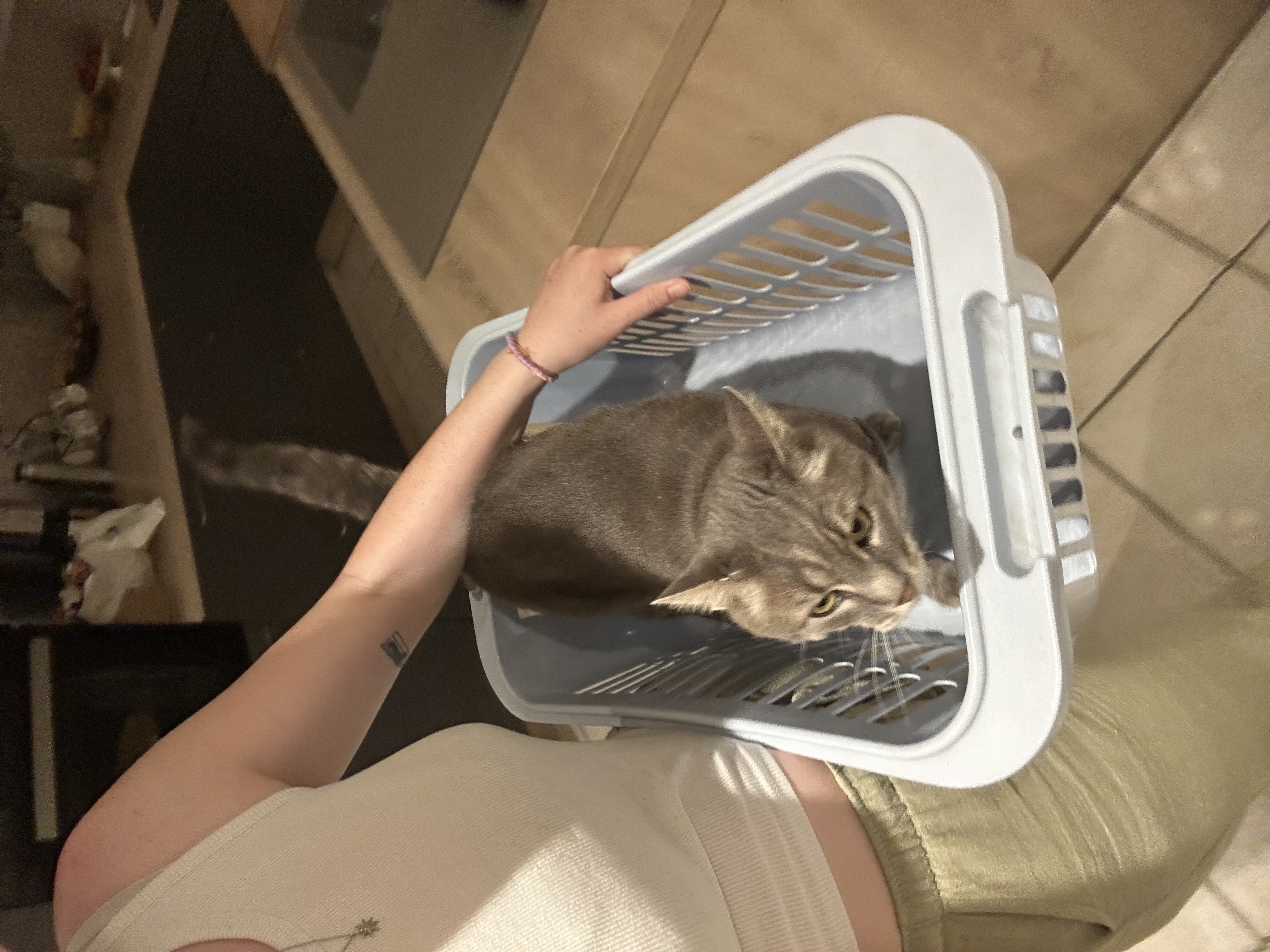 image-9