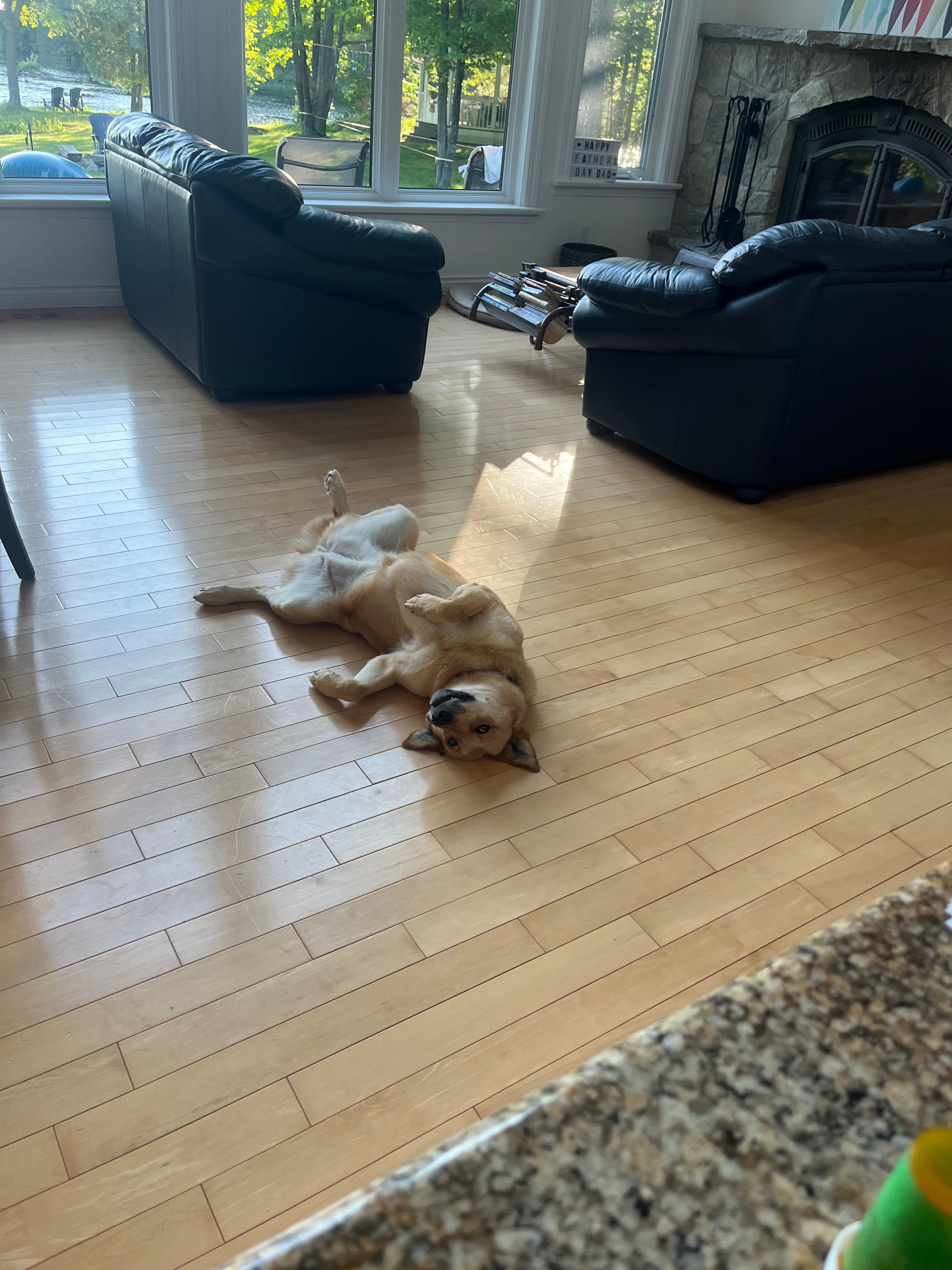 image-27