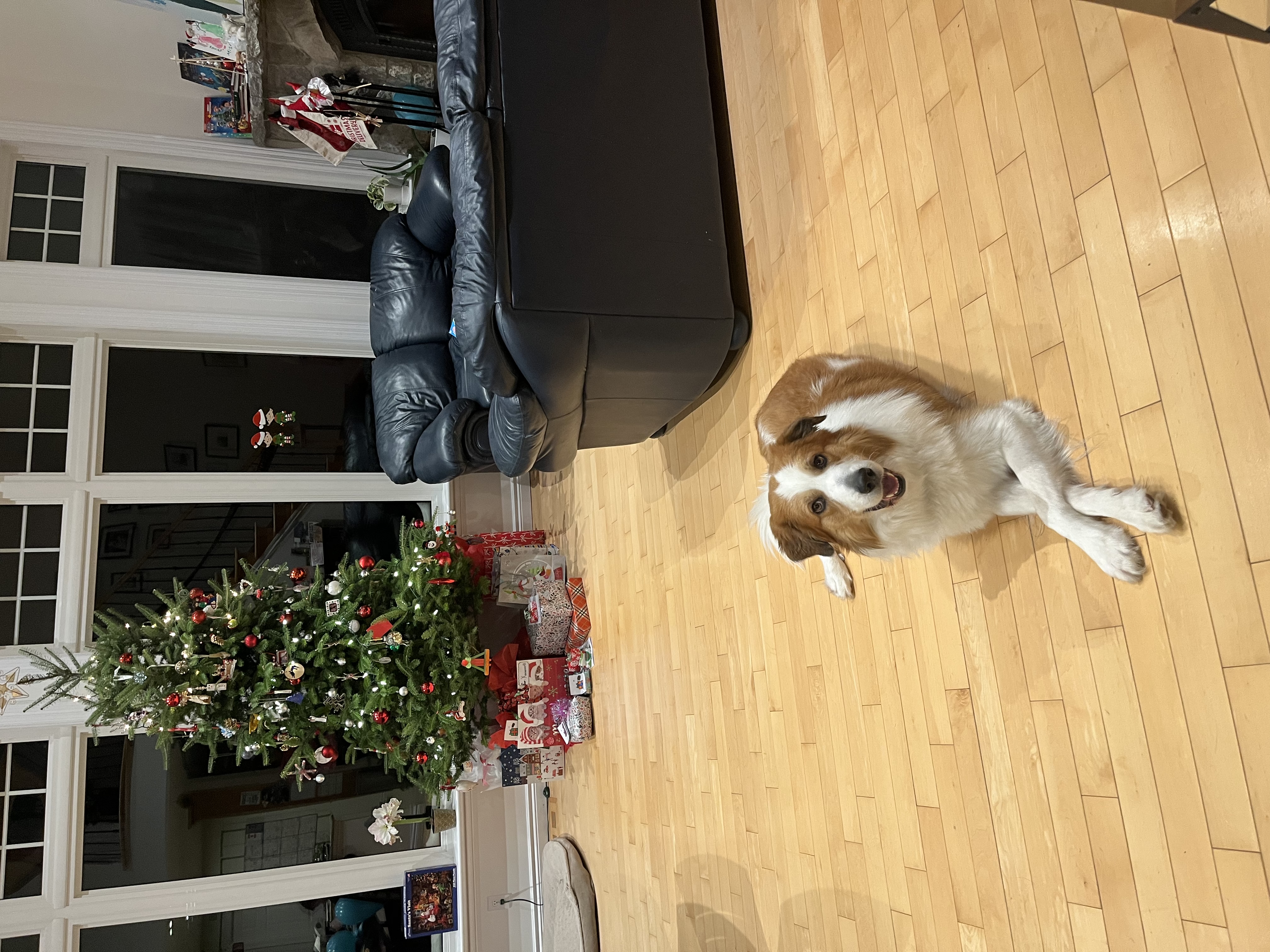 image-29