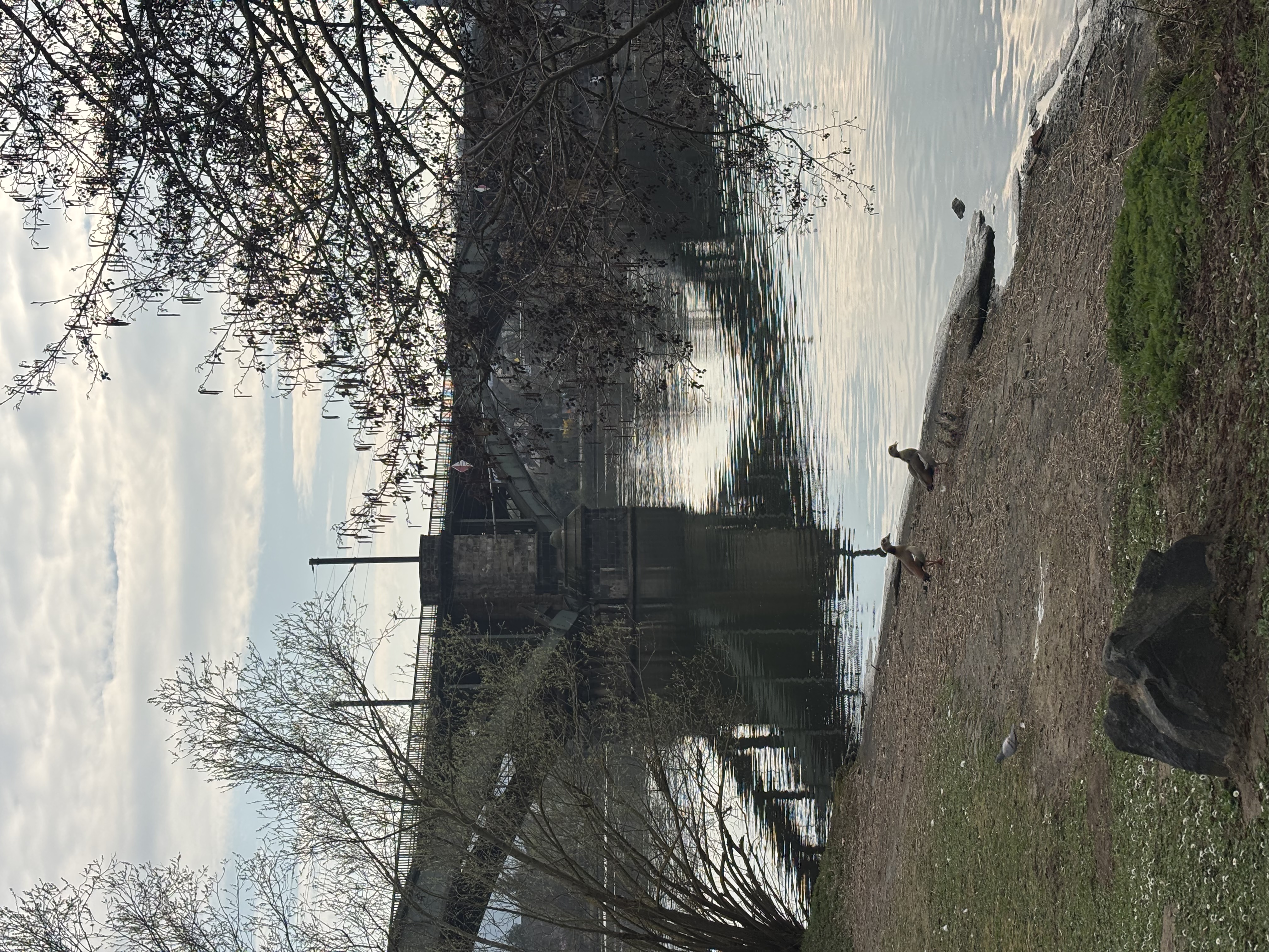 image-26