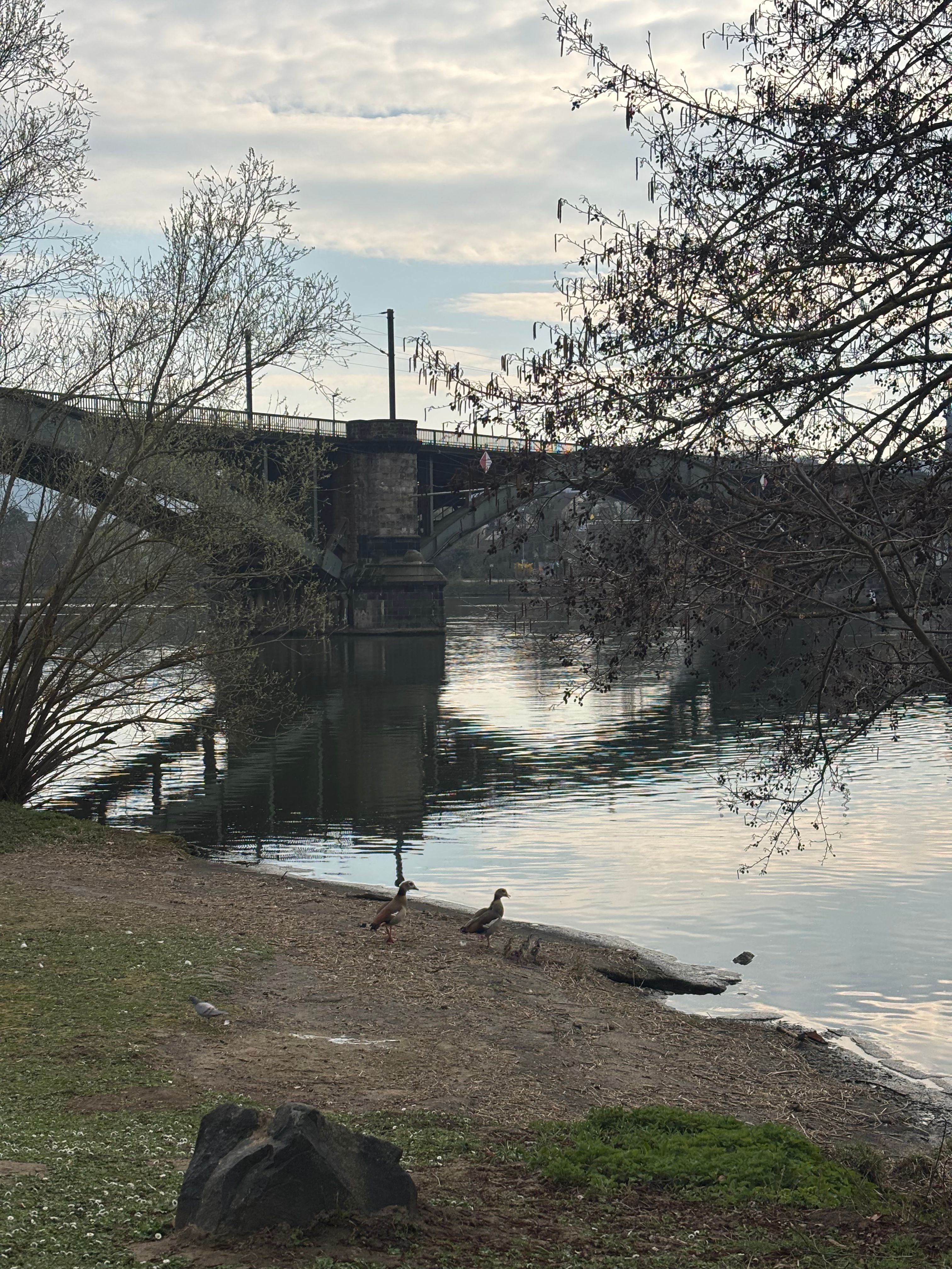 image-26