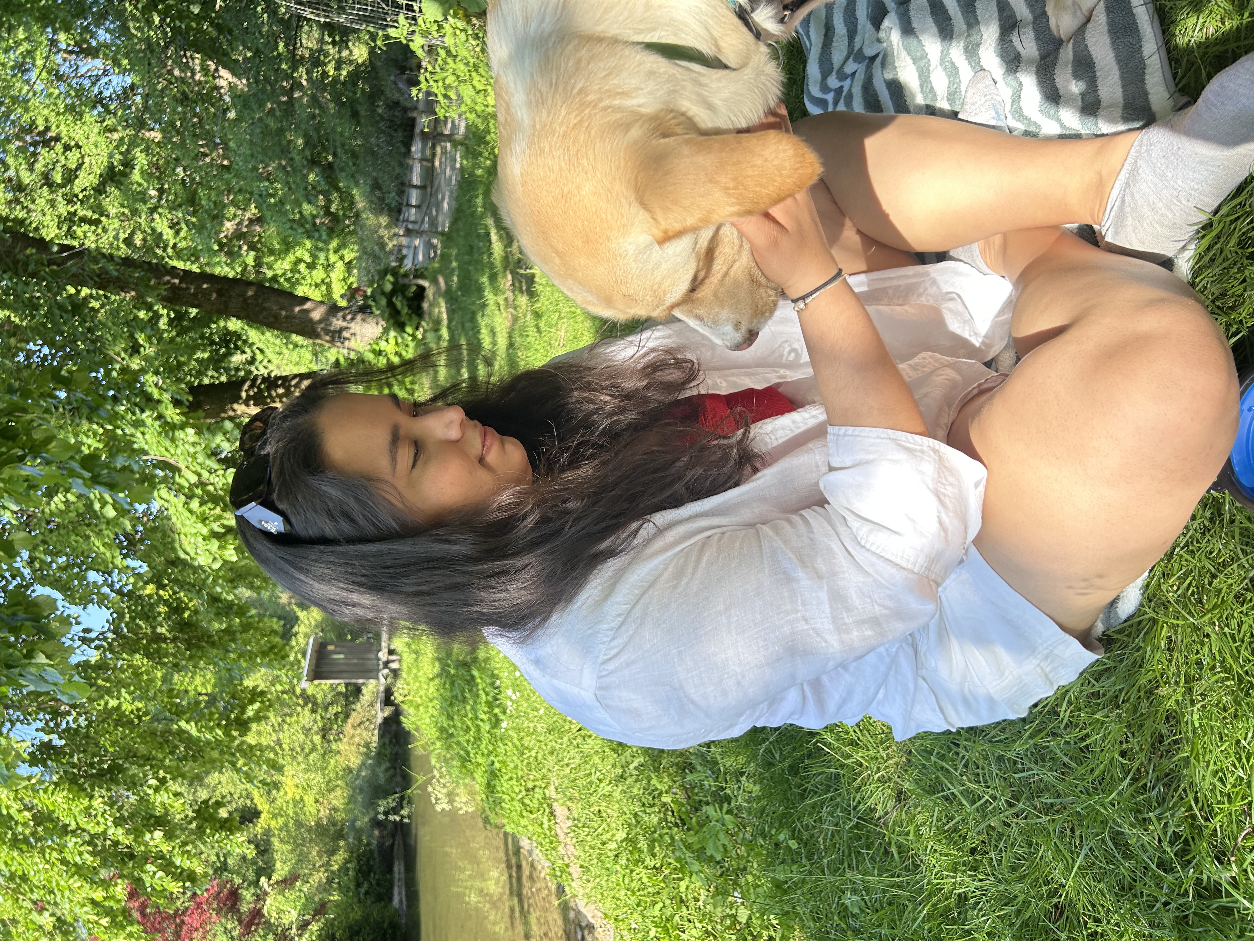 image-4