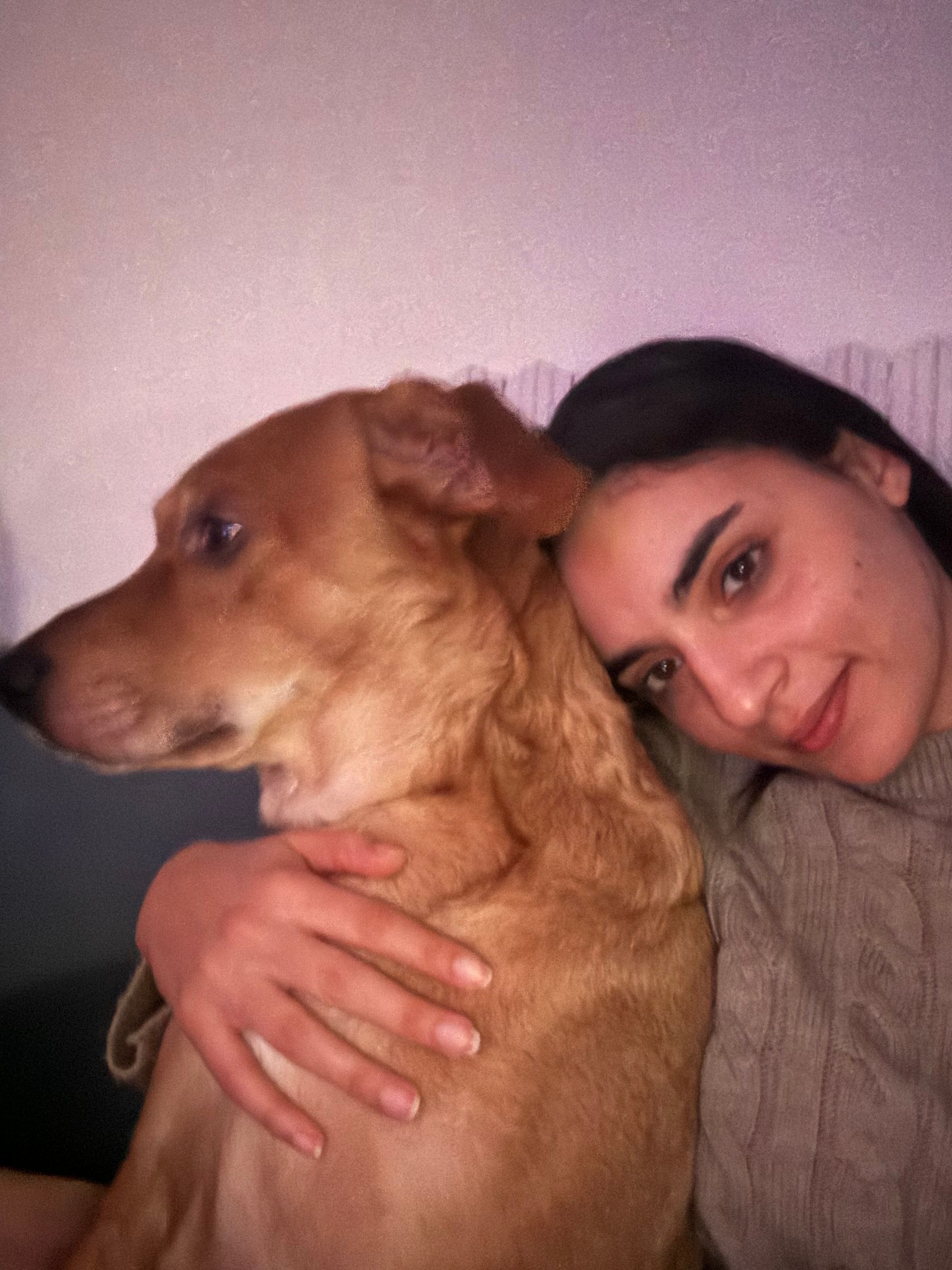 image-5