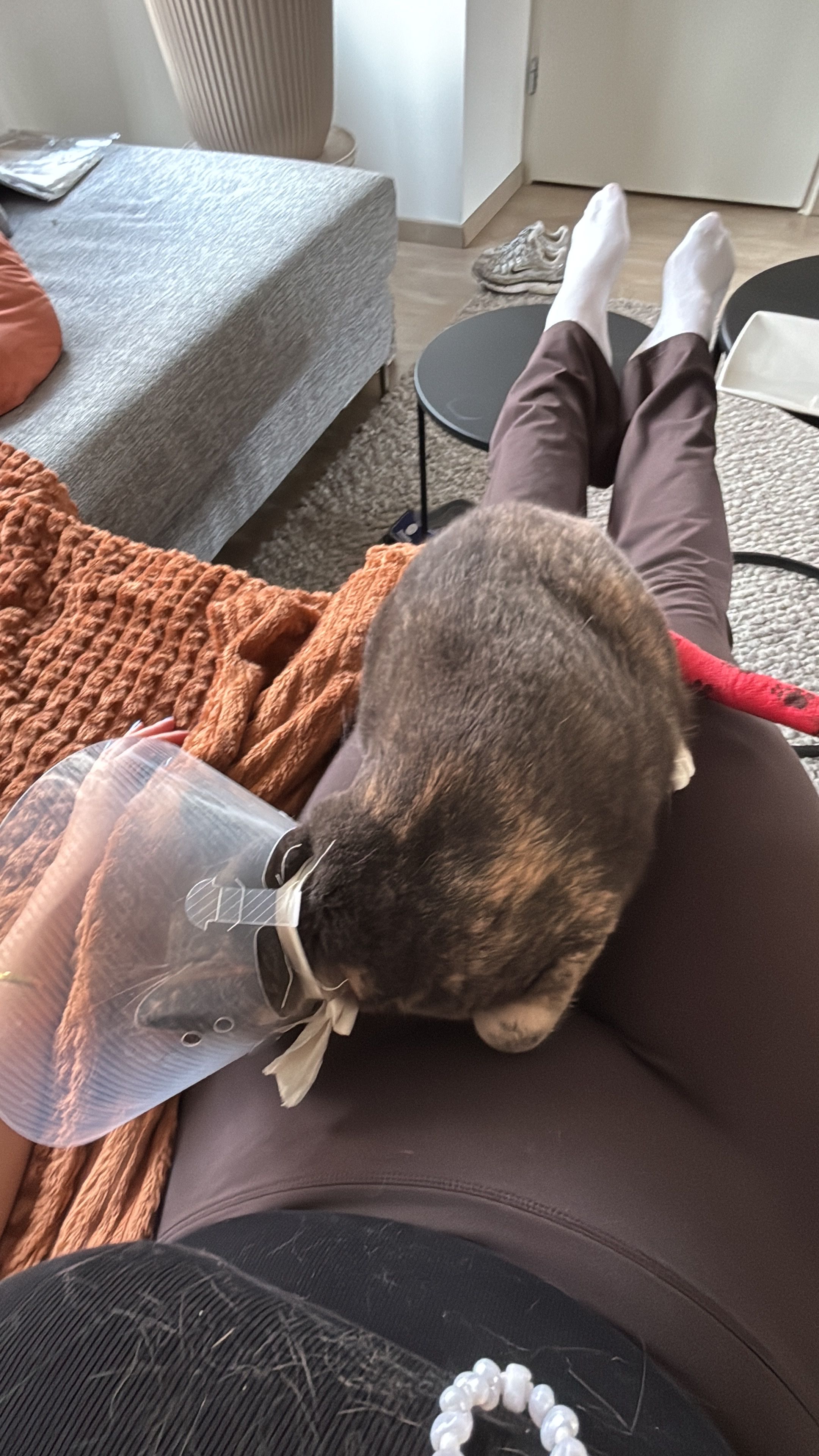 image-7