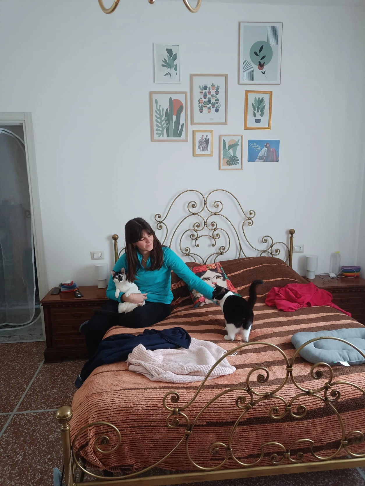 image-6