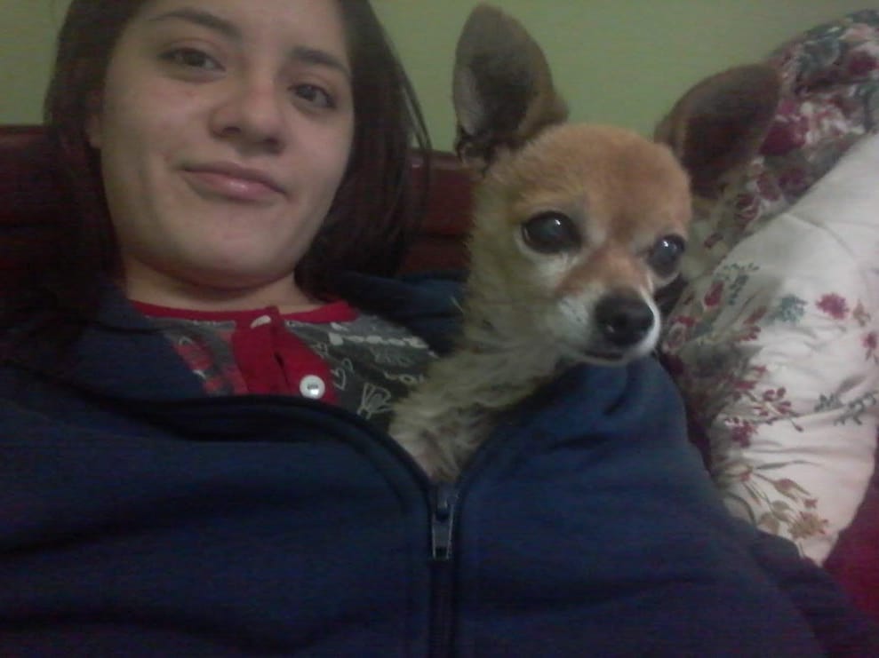 image-7