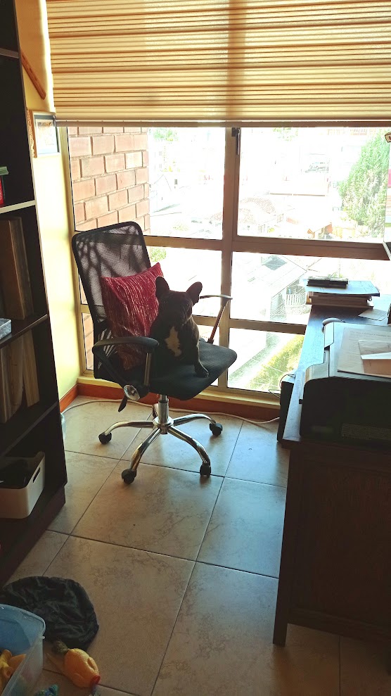 image-10