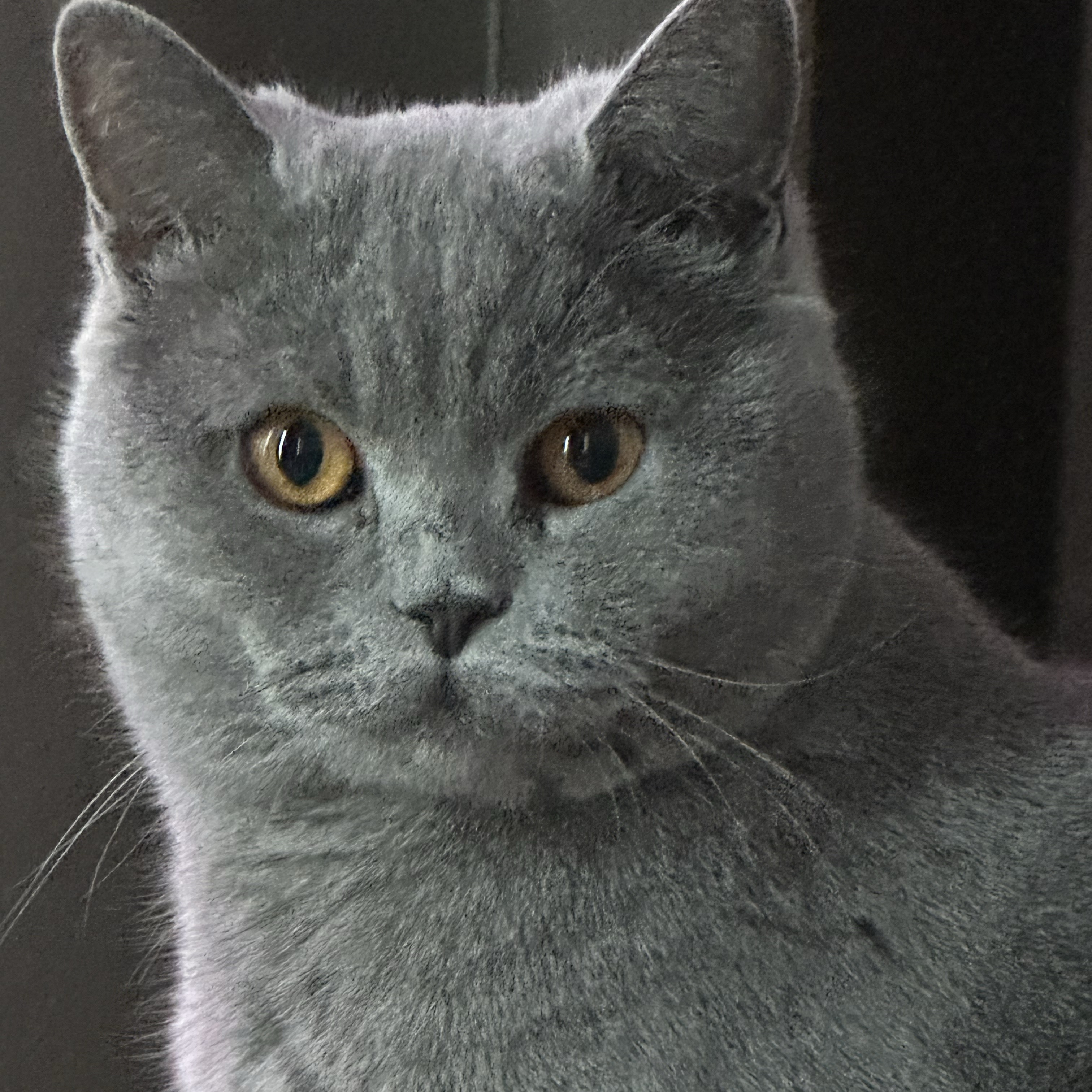 Georgie