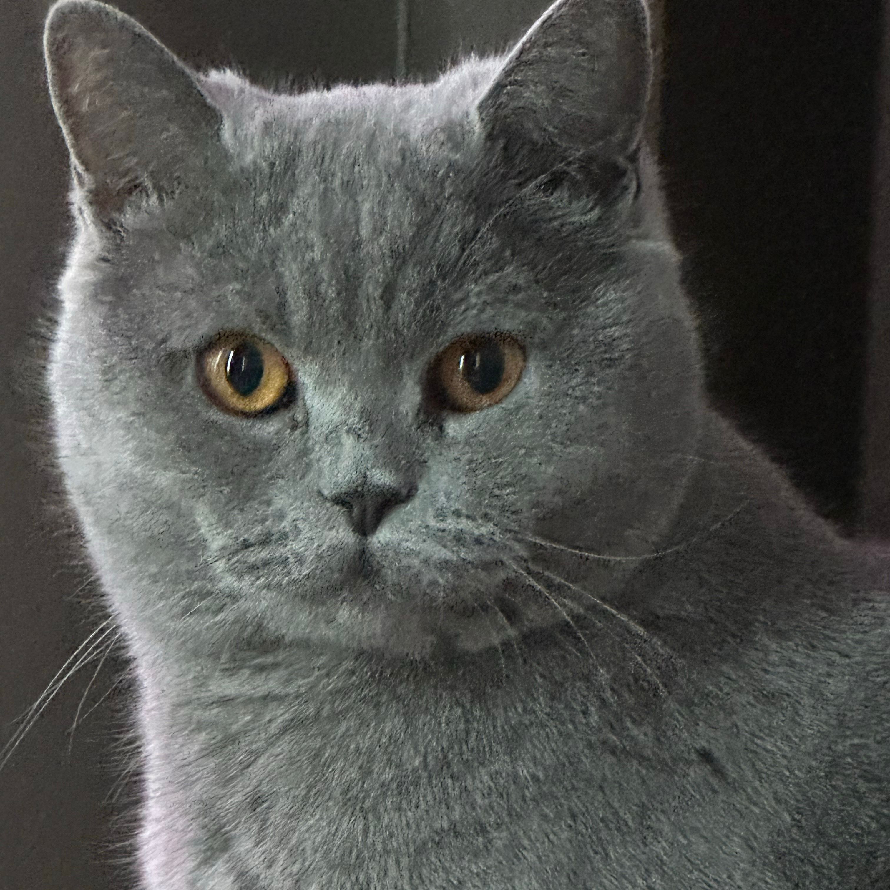 Georgie