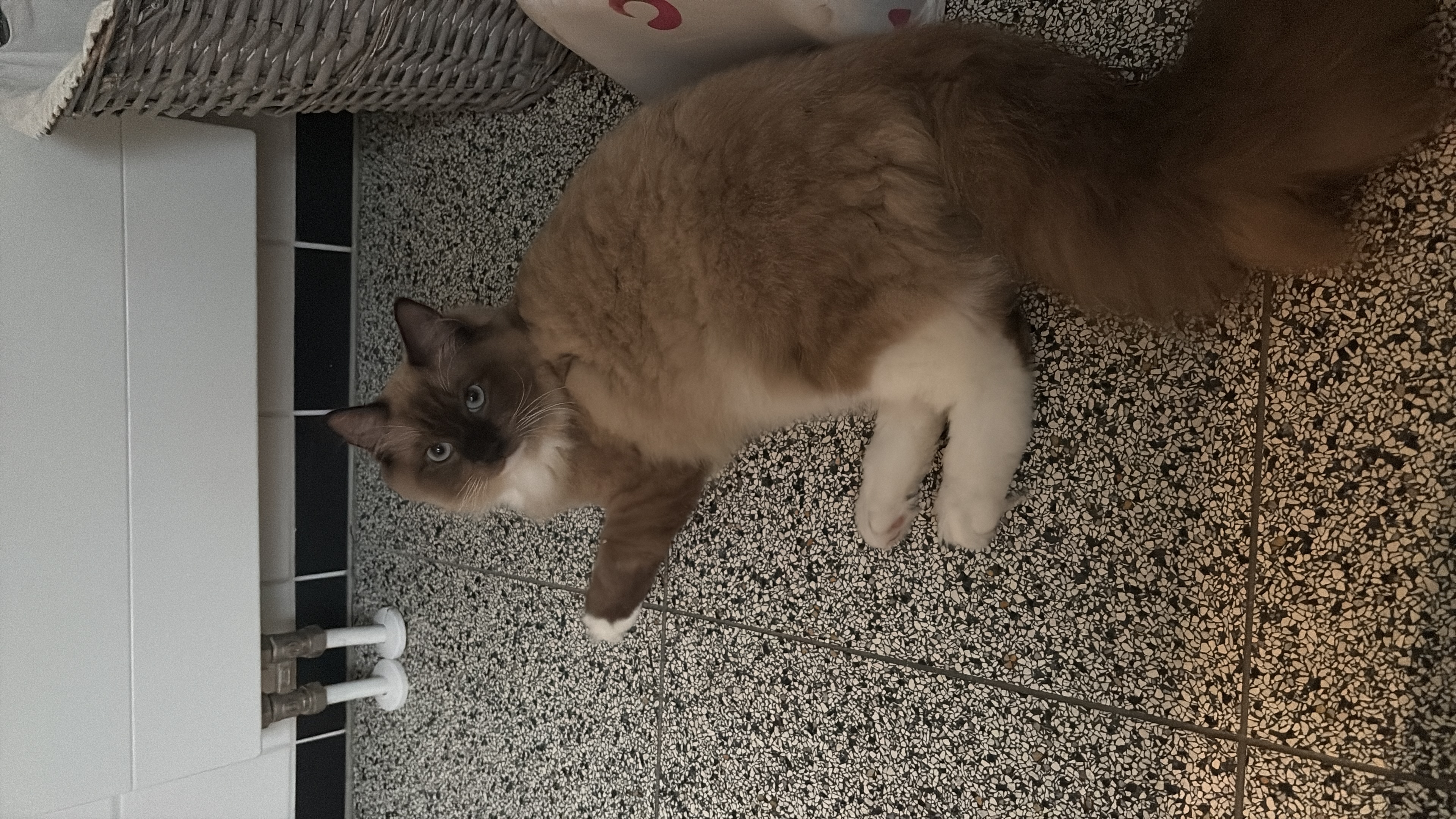 image-16