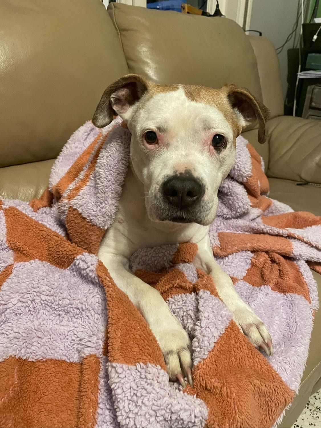 image-19