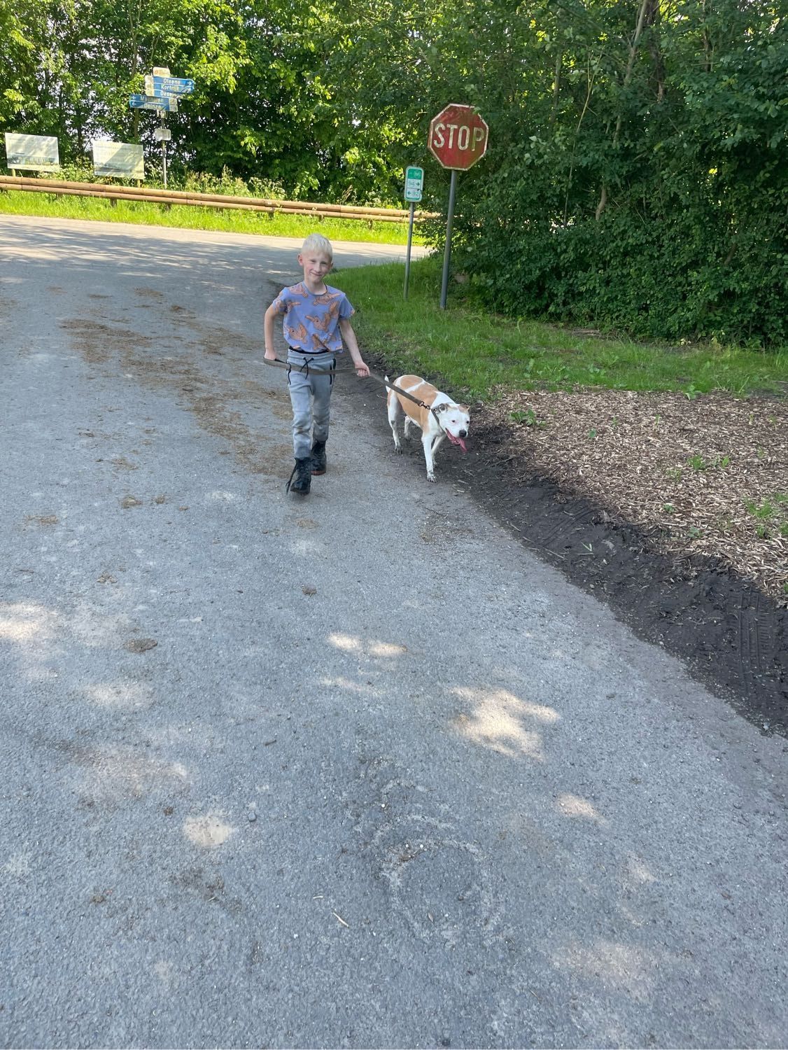 image-43