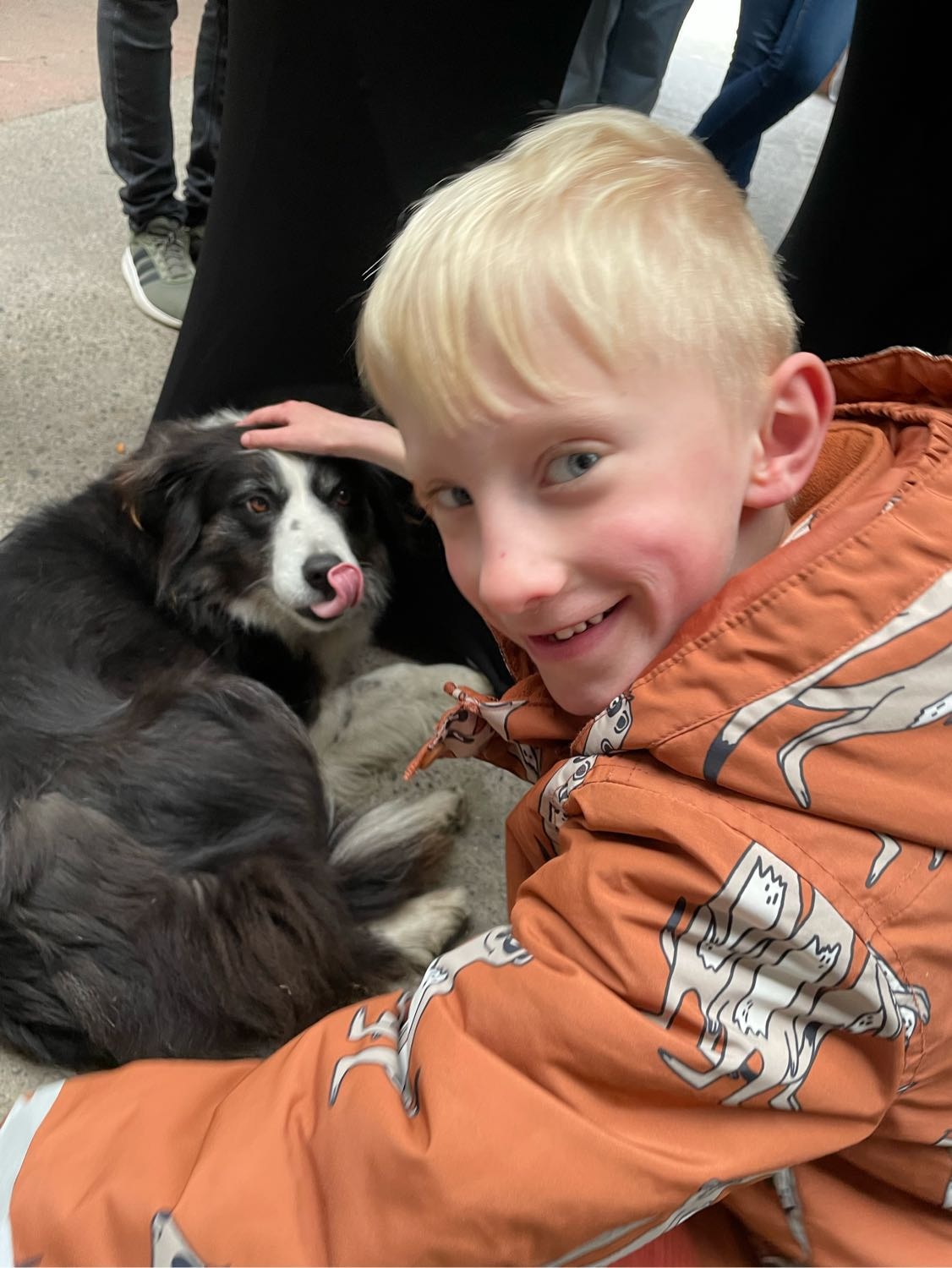 image-36