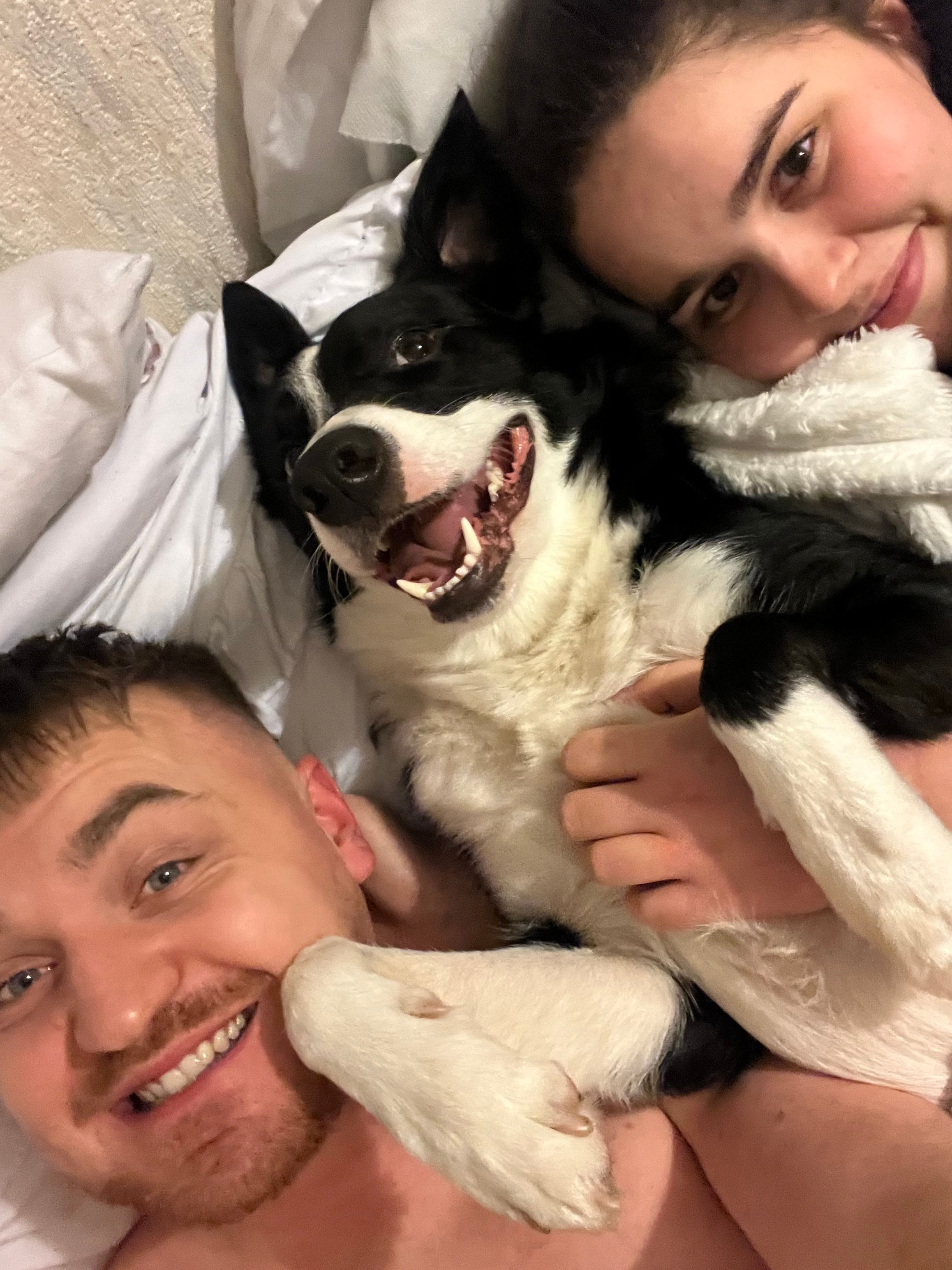image-6