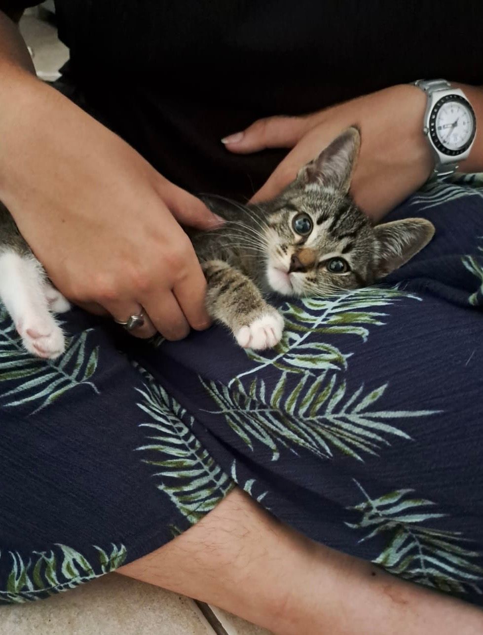 image-0