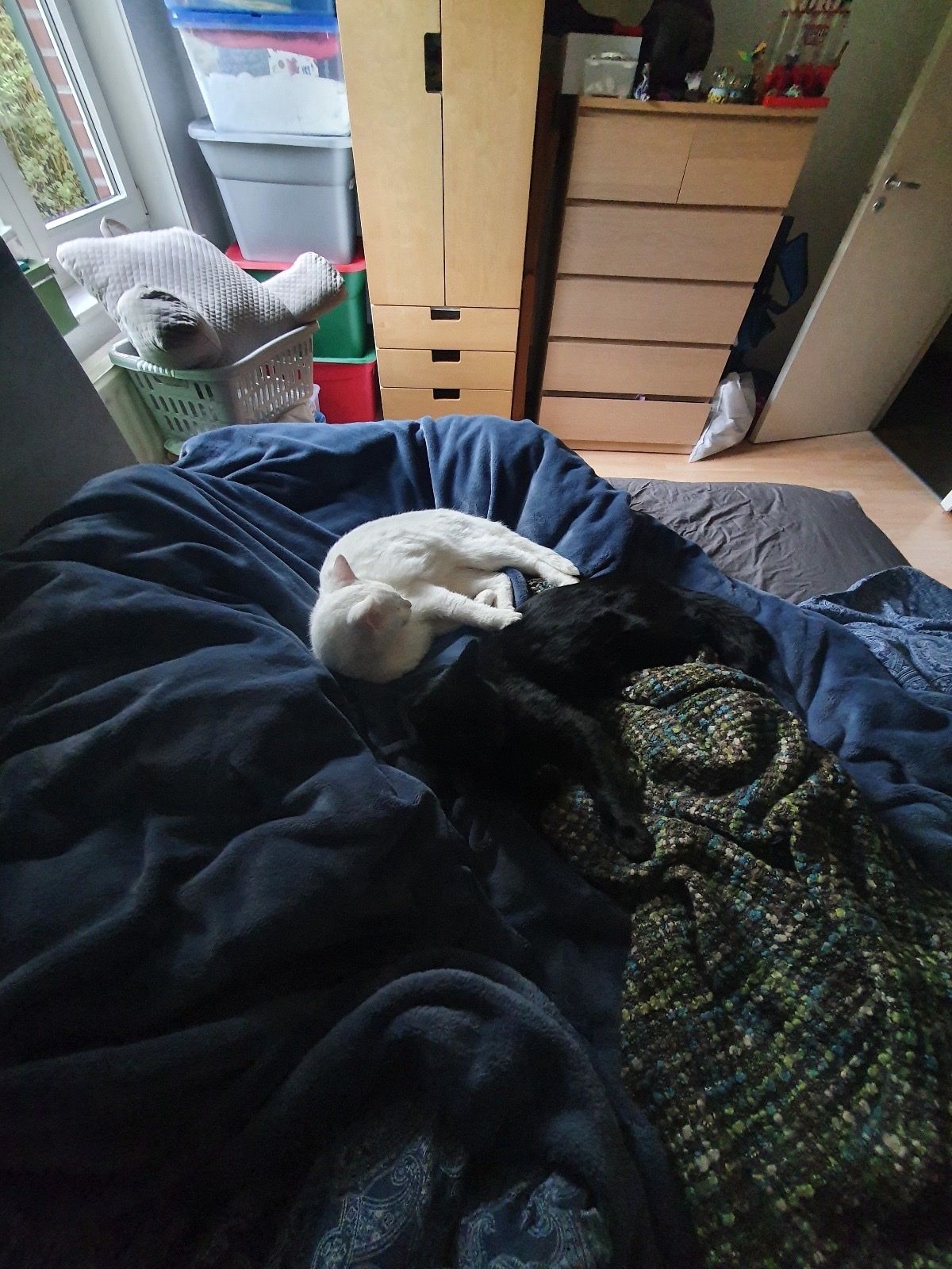 image-11
