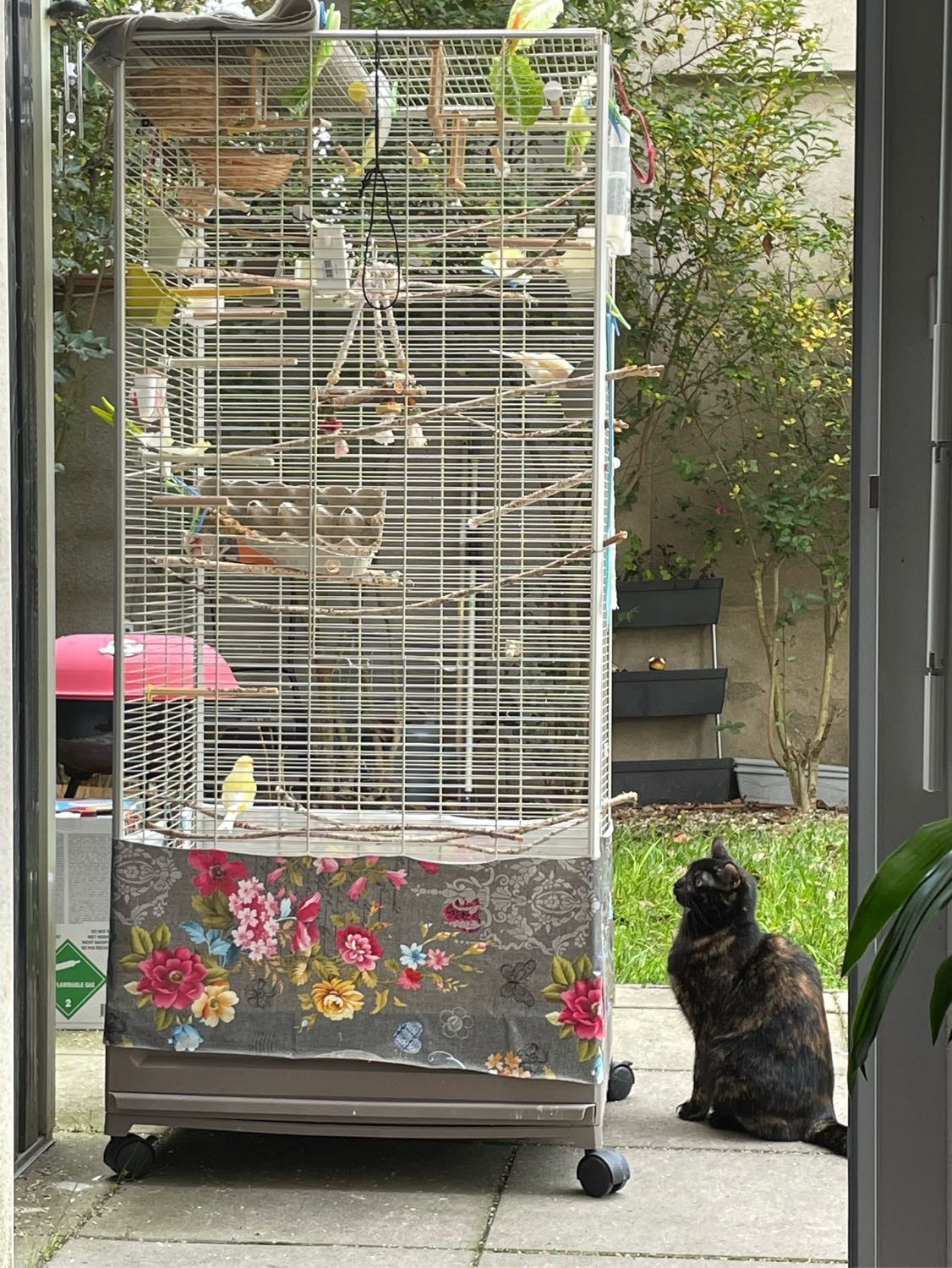 image-6