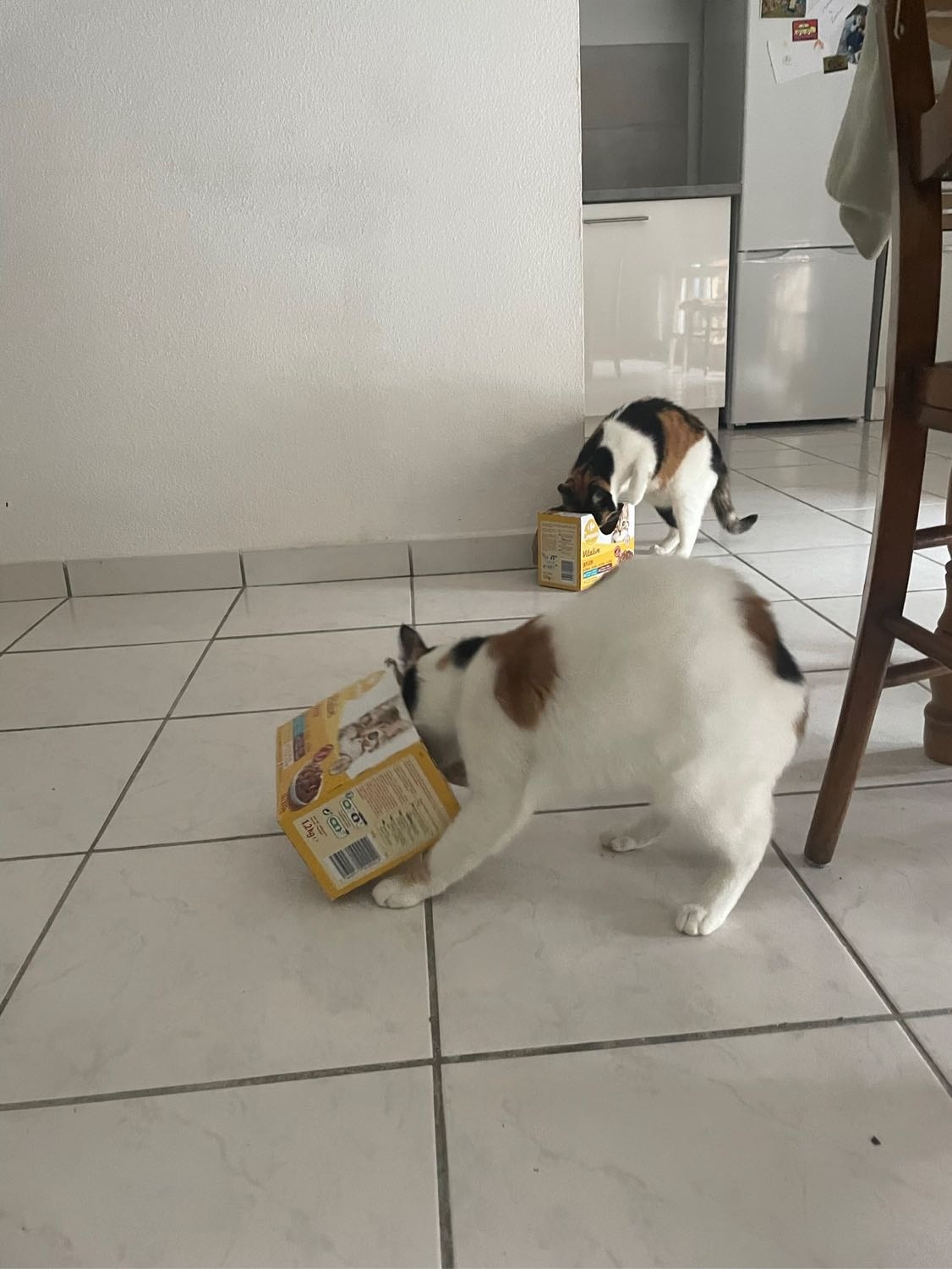 image-13
