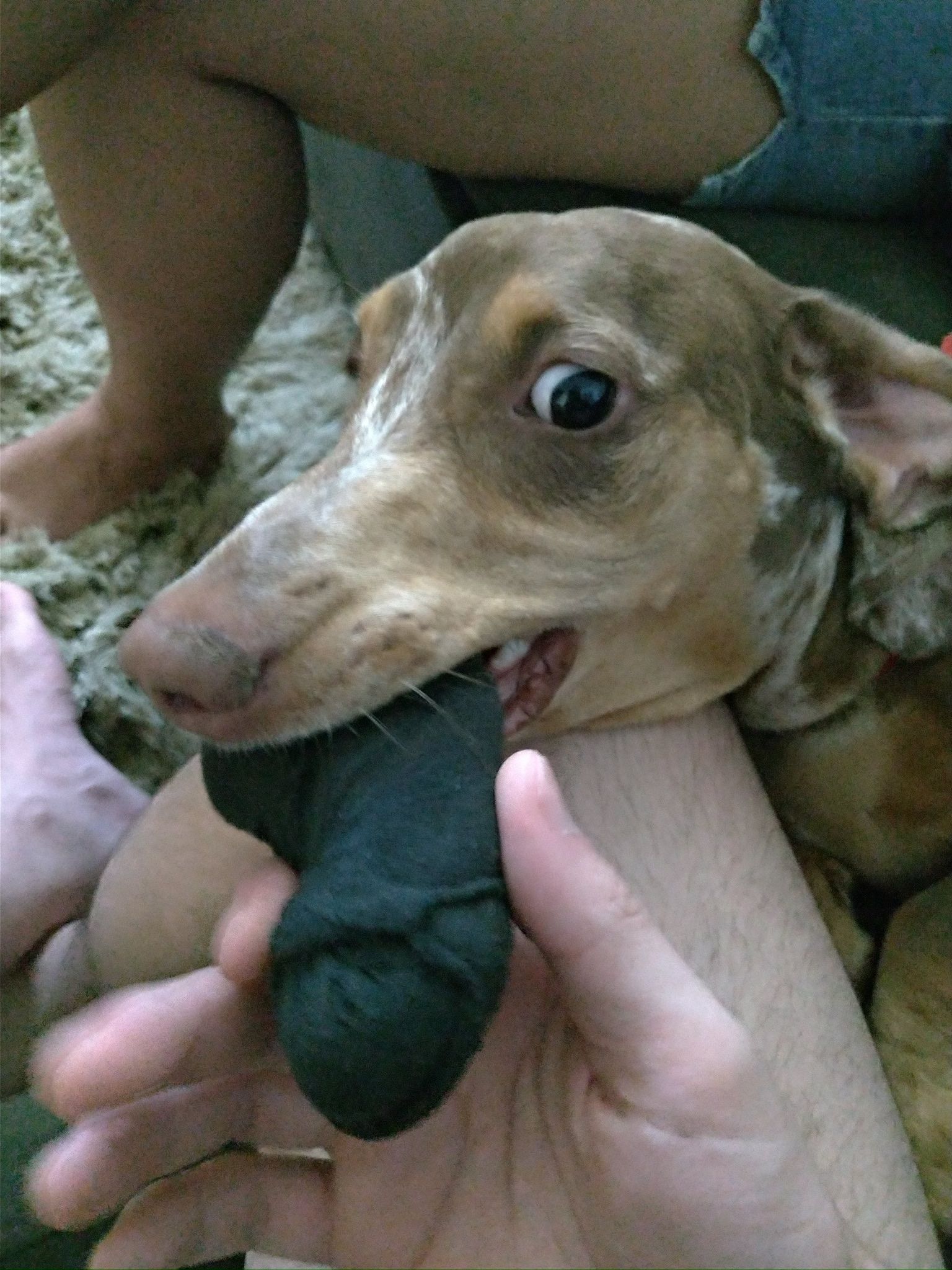 image-9