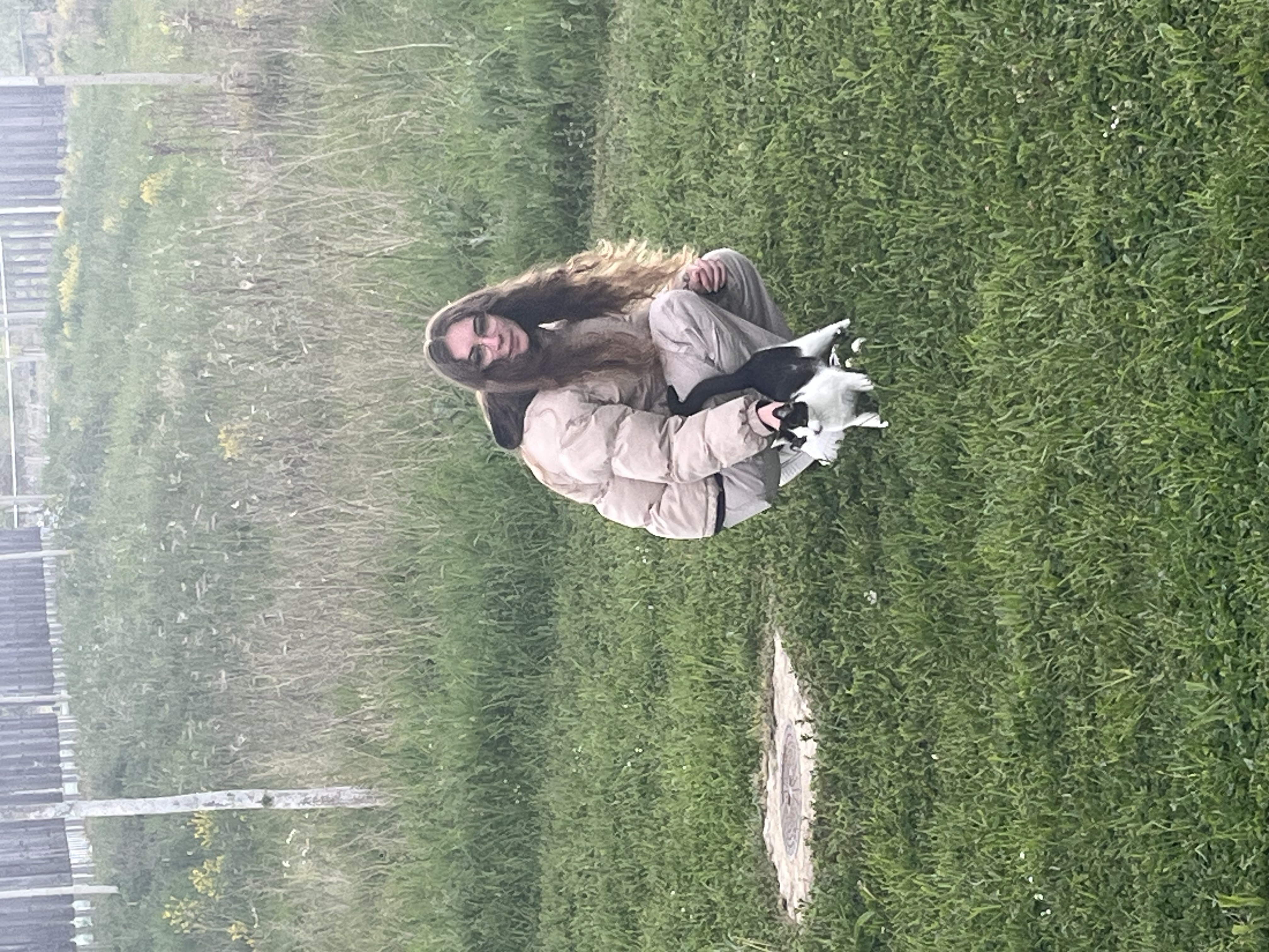 image-2