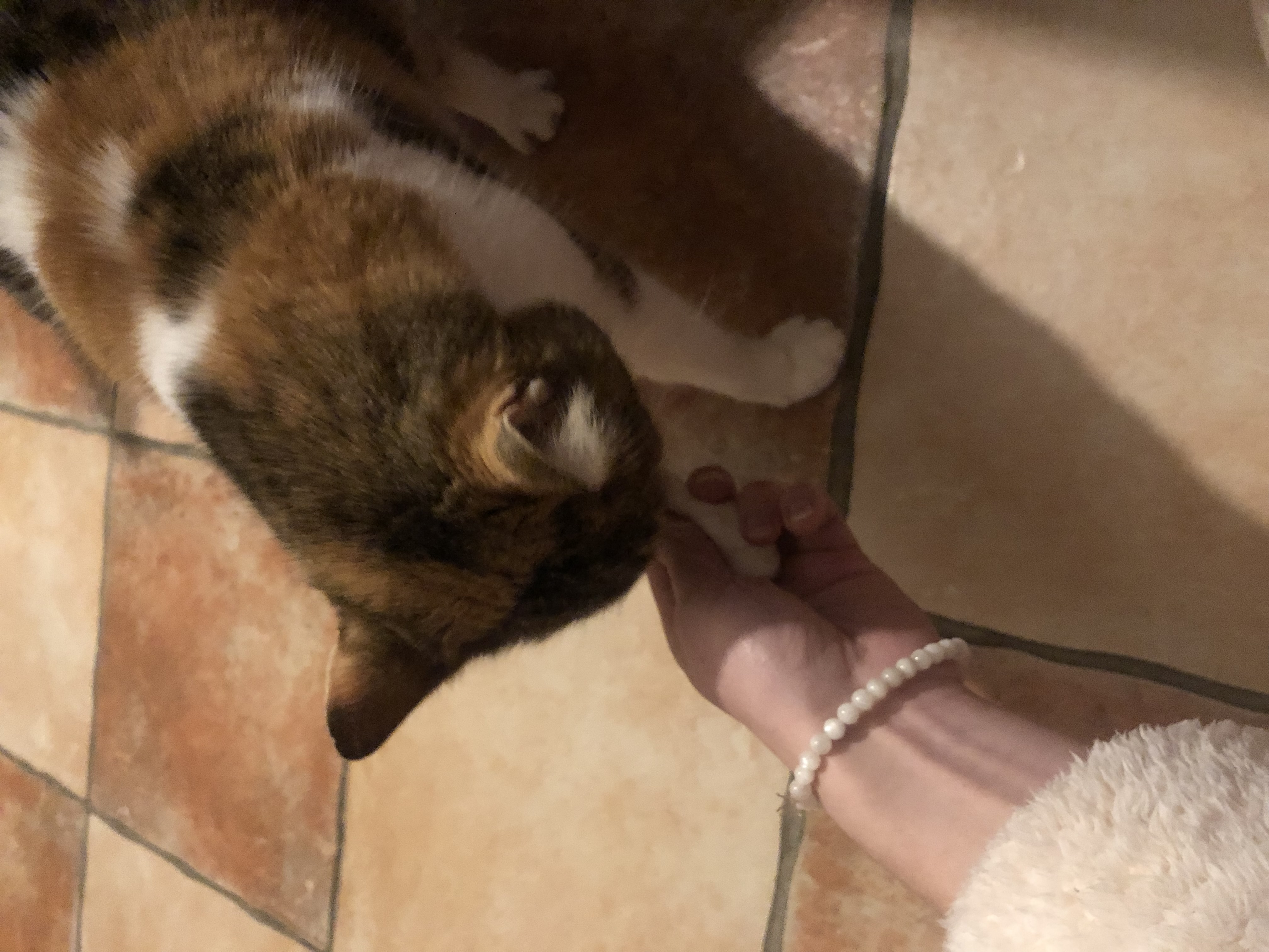 image-8